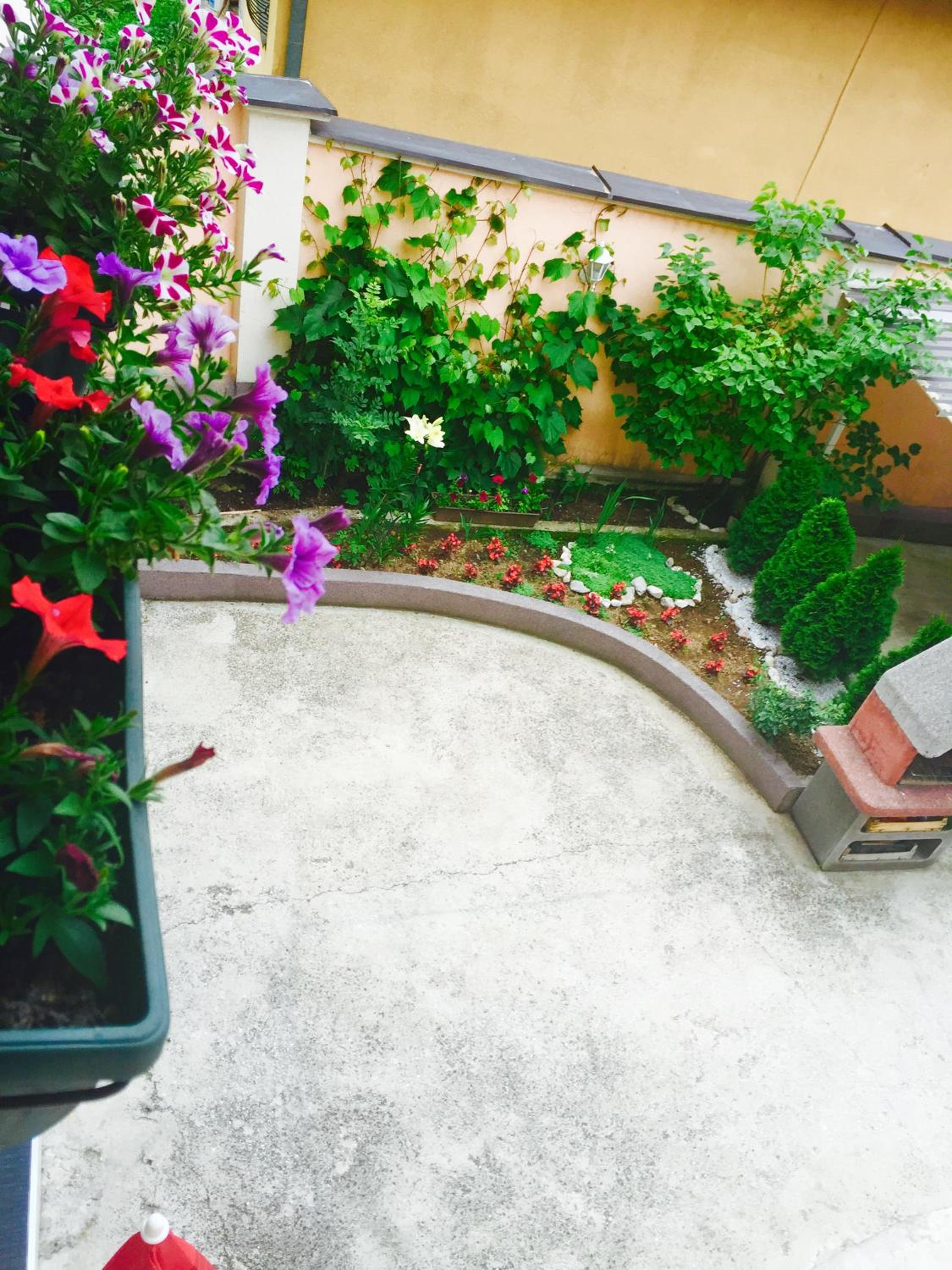 Apartment Irma
