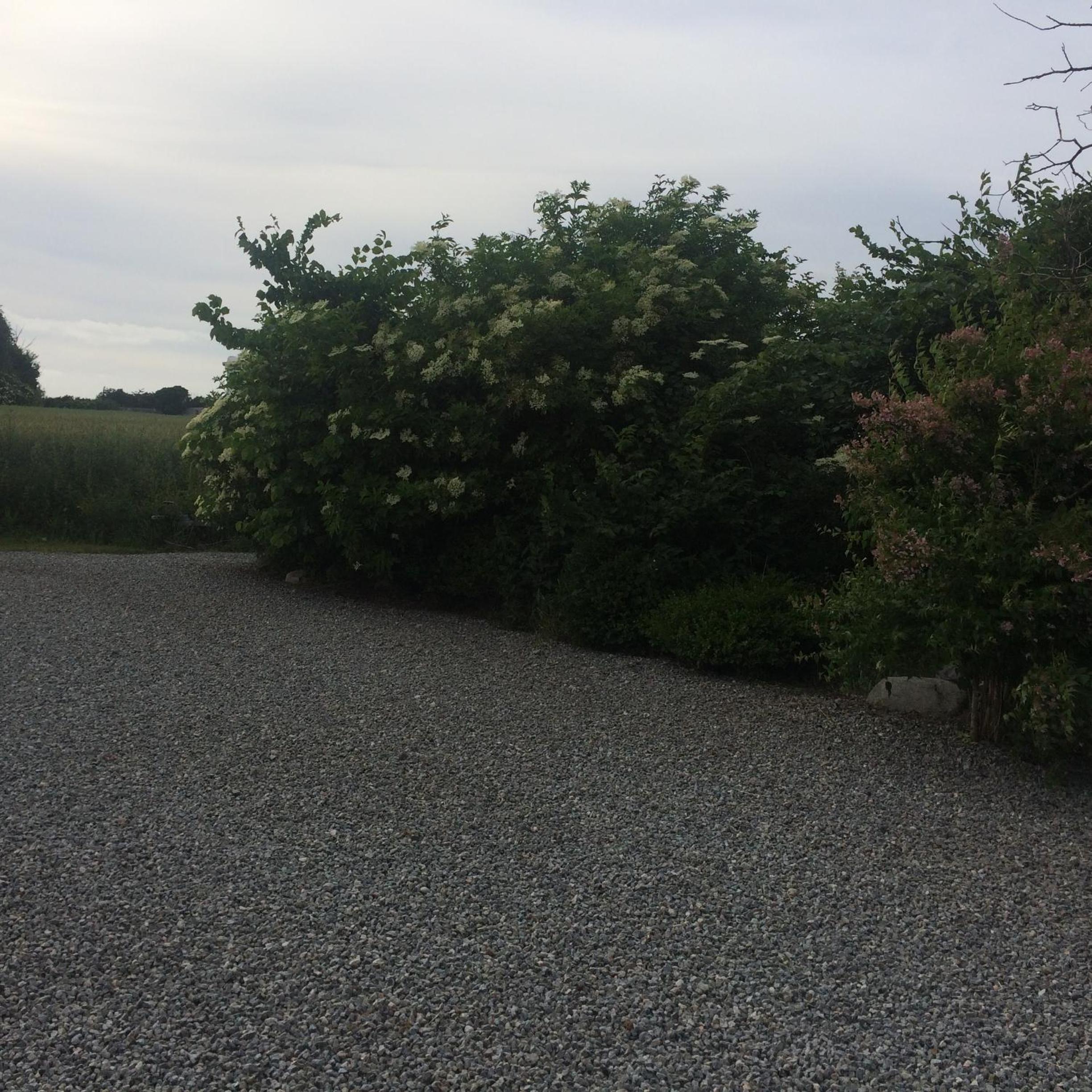 Photo 28