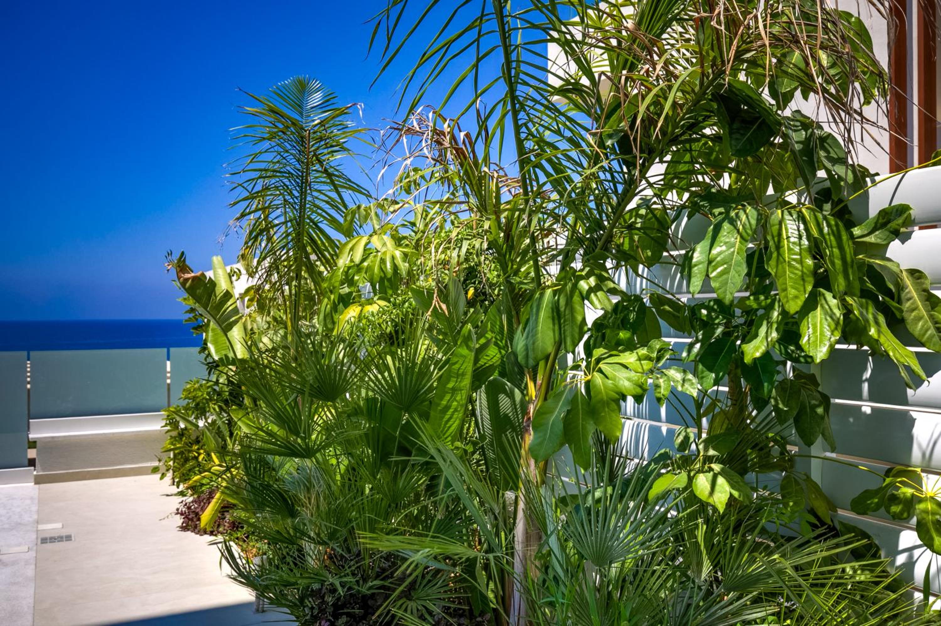 Olymp White Palace - The Ultra Luxury Beach House