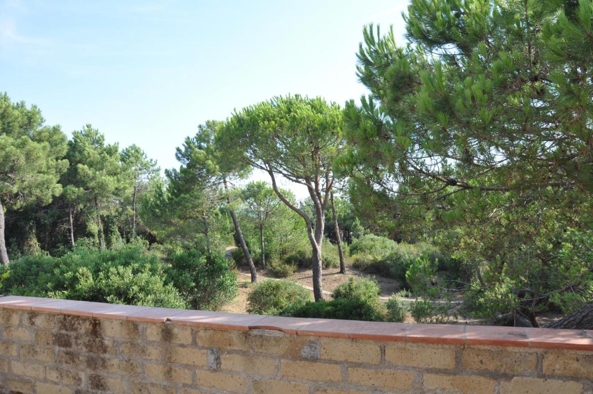 Photo 40