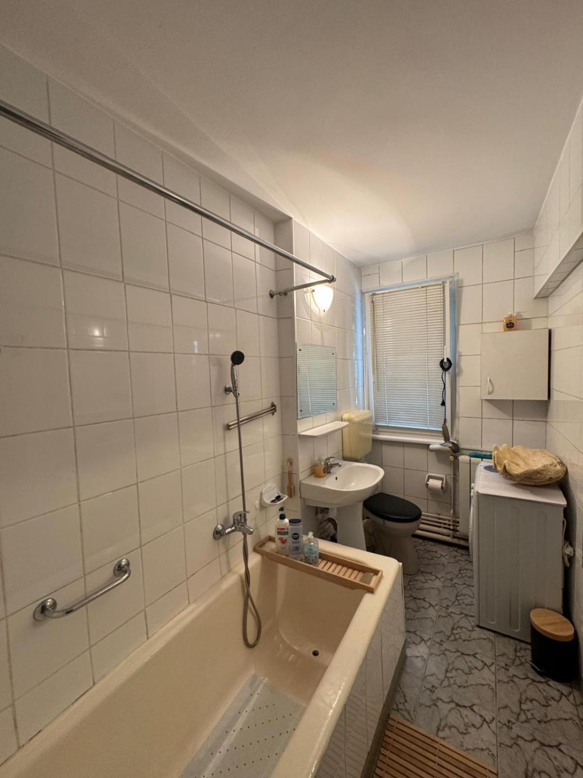 2 bedrooms apart in Cismigiu area - the real center of the city