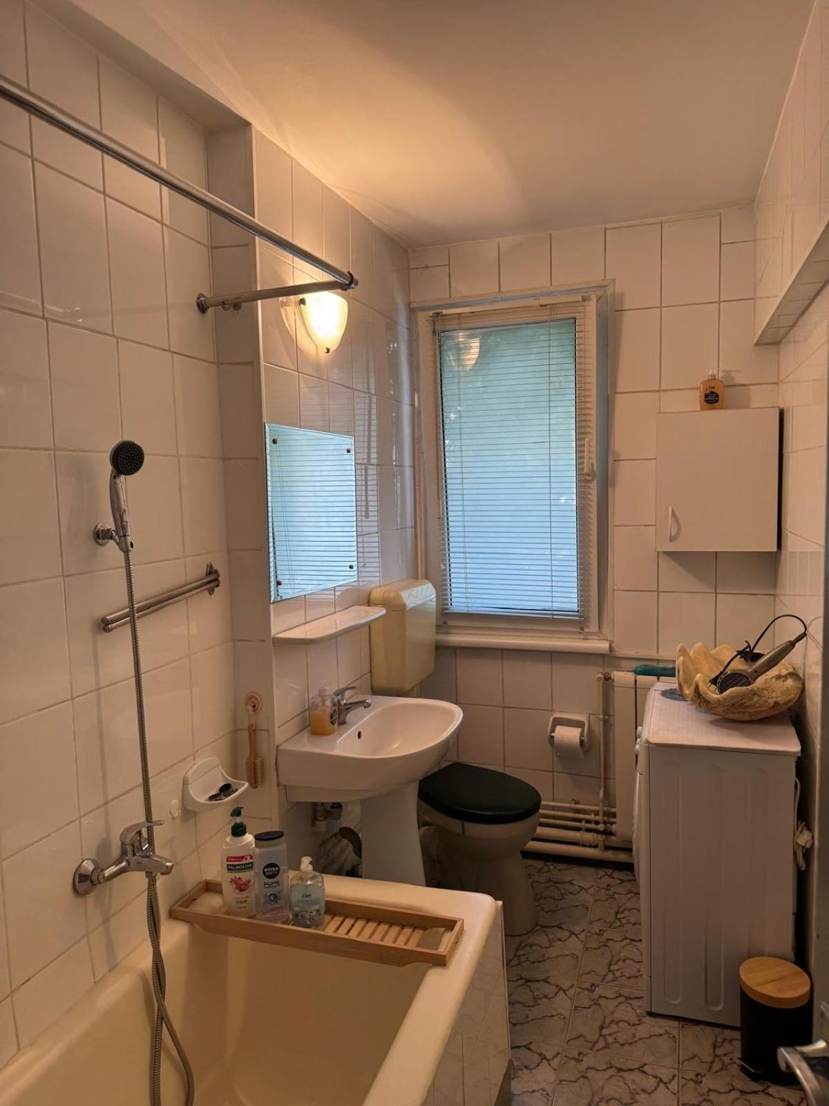 2 bedrooms apart in Cismigiu area - the real center of the city