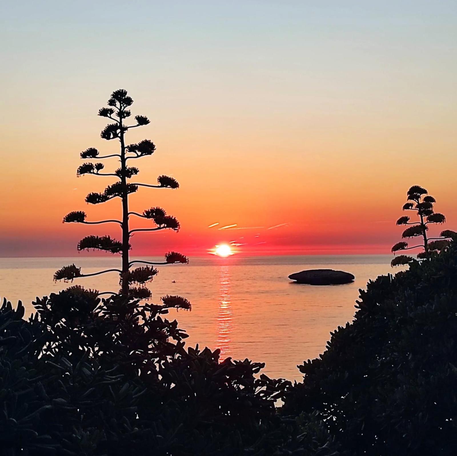 i giardini di Ailobran