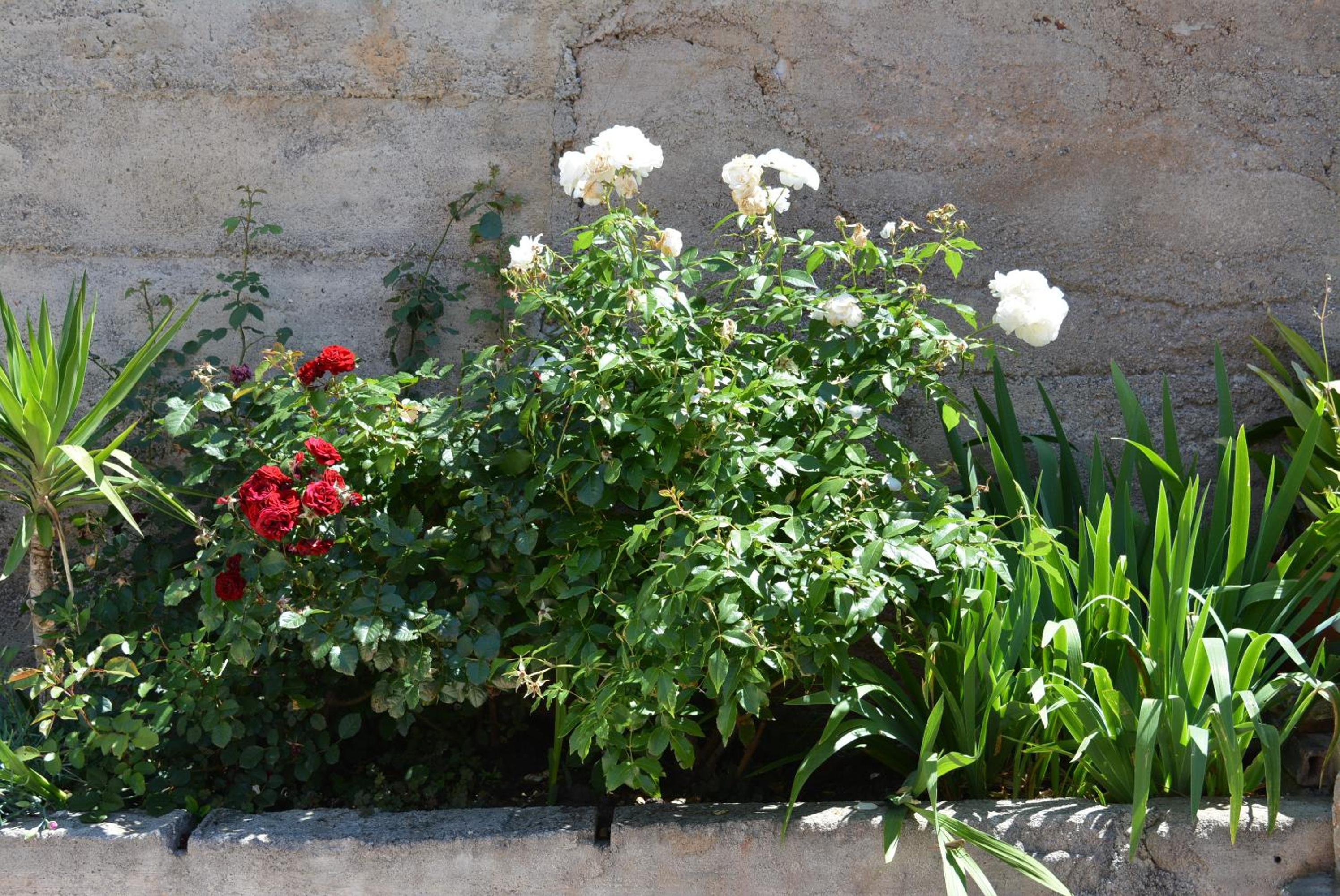 Photo 31