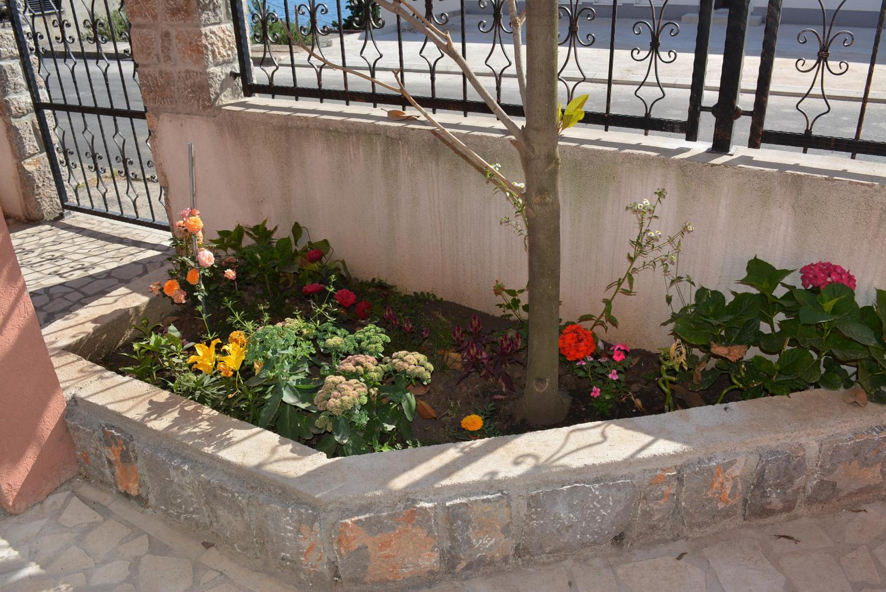 Photo 43