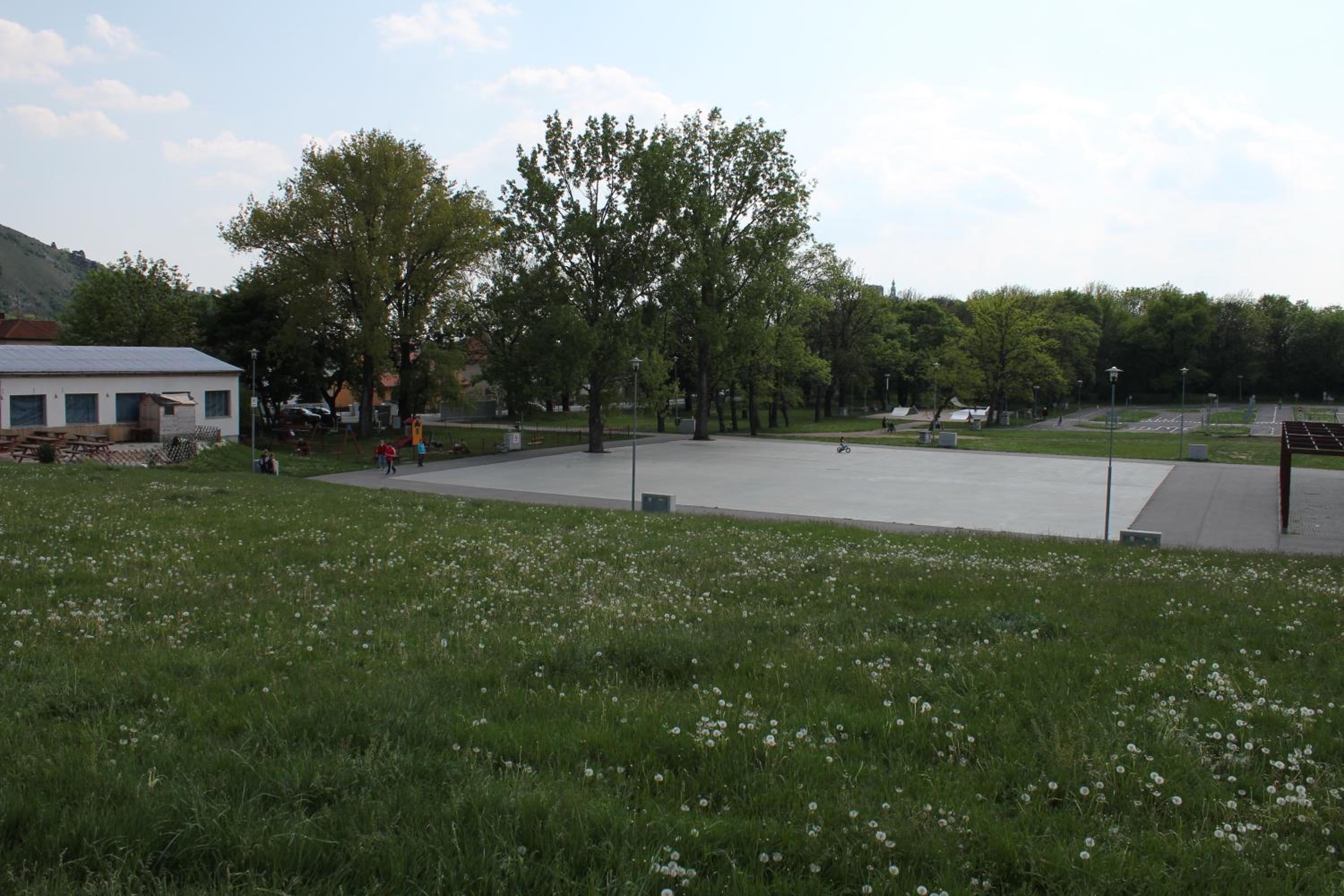 Photo 68