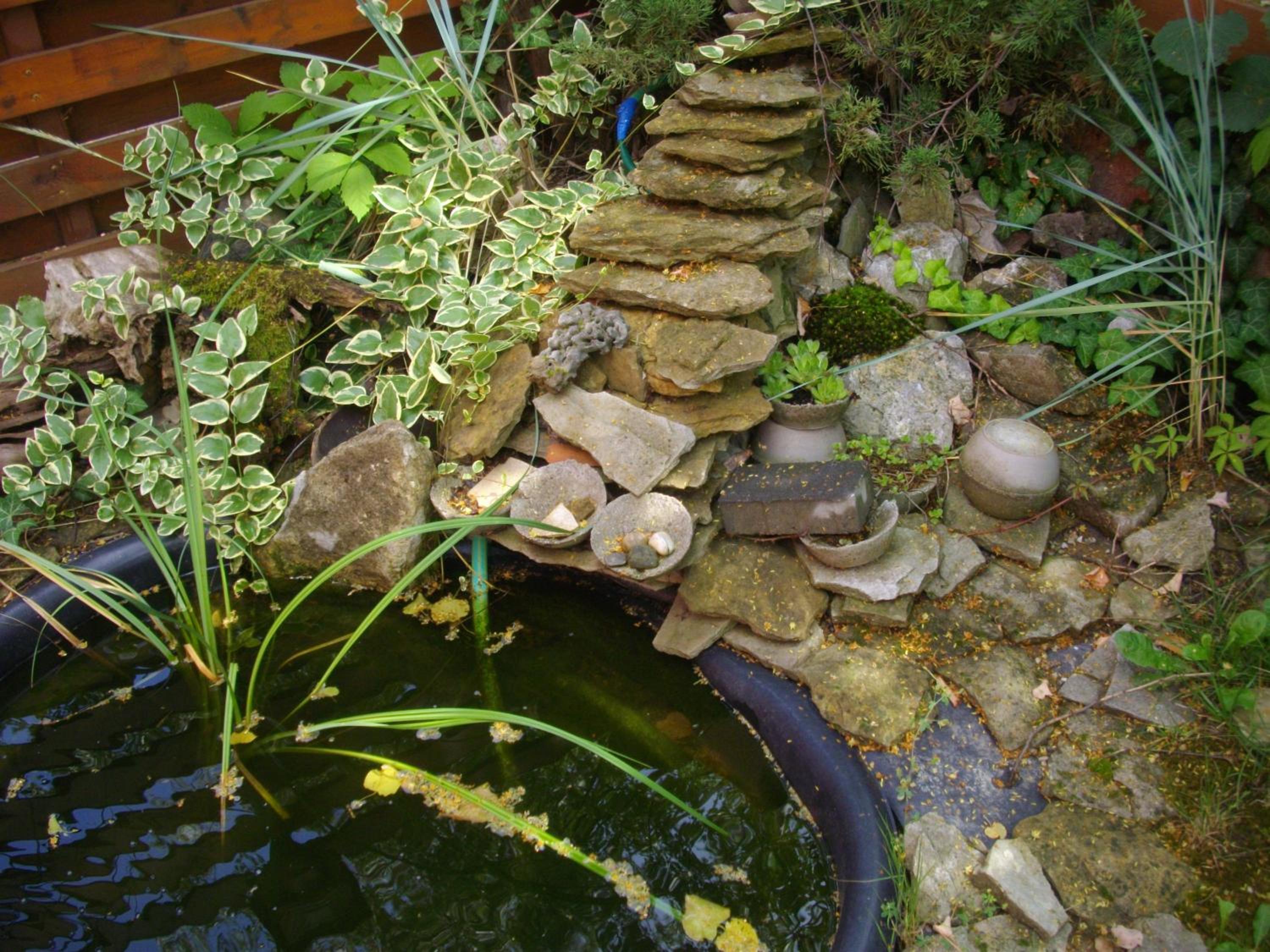 Photo 15