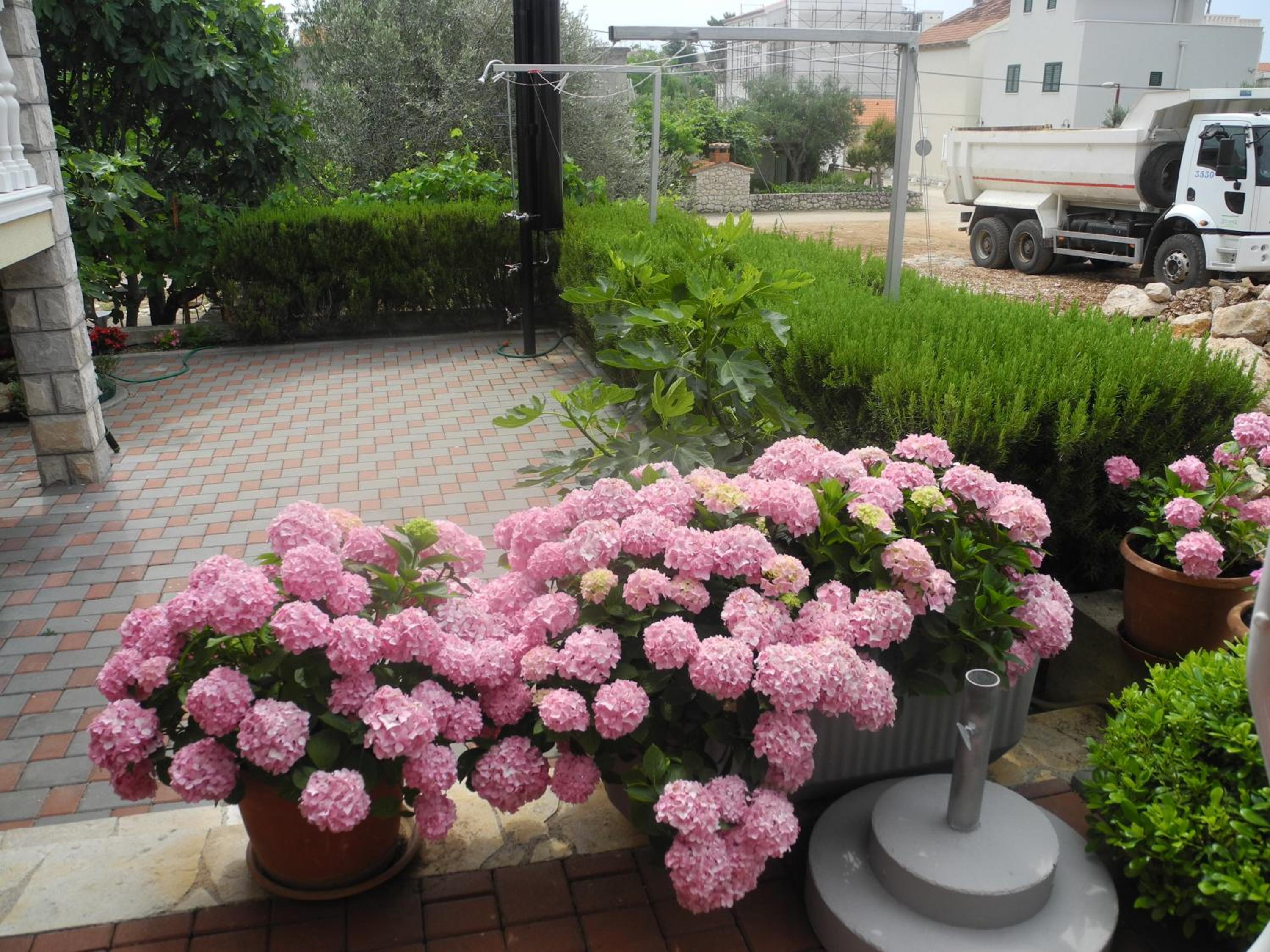 Photo 44