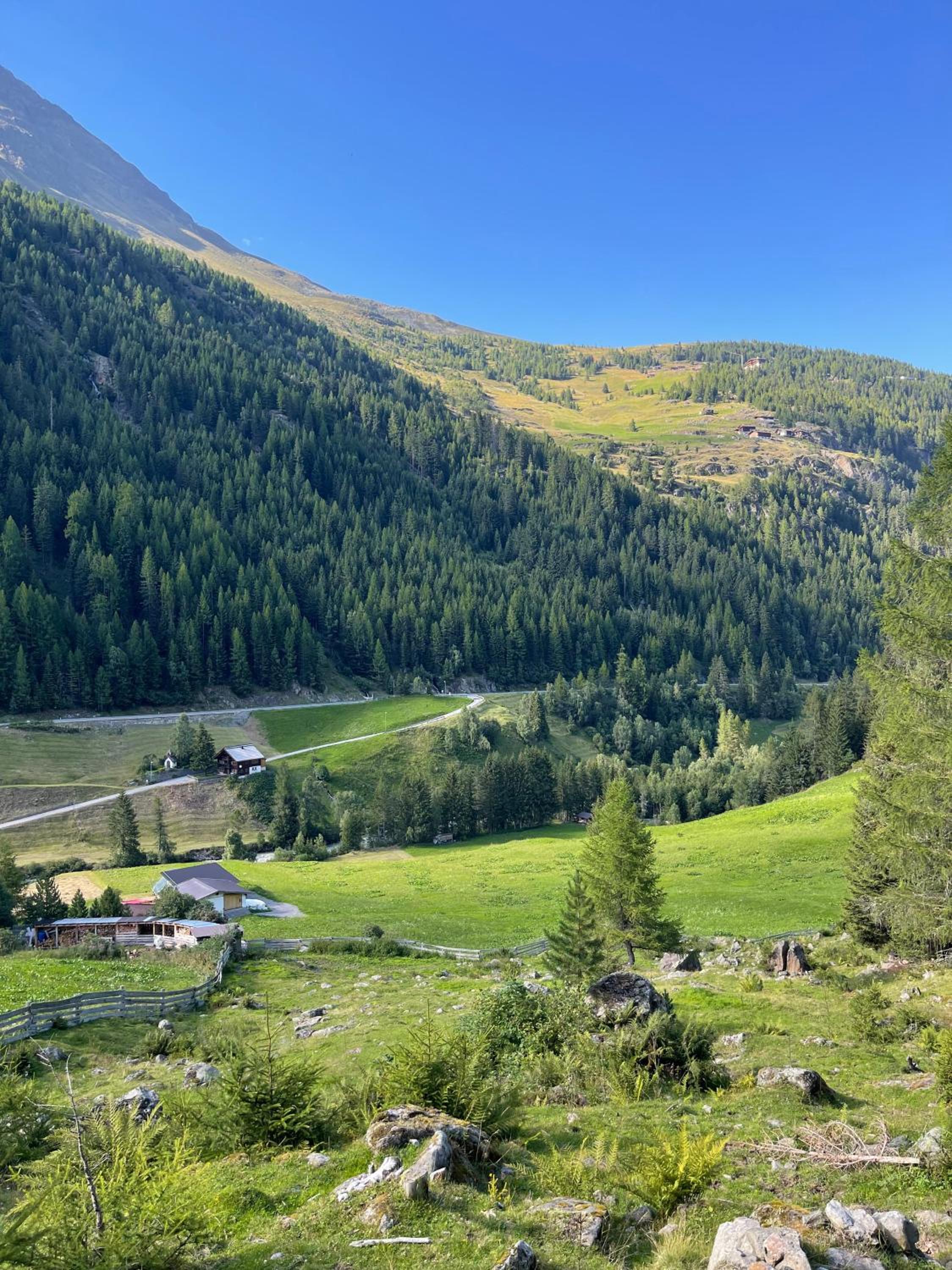 Alpenfels Apartments - Zwieselstein
