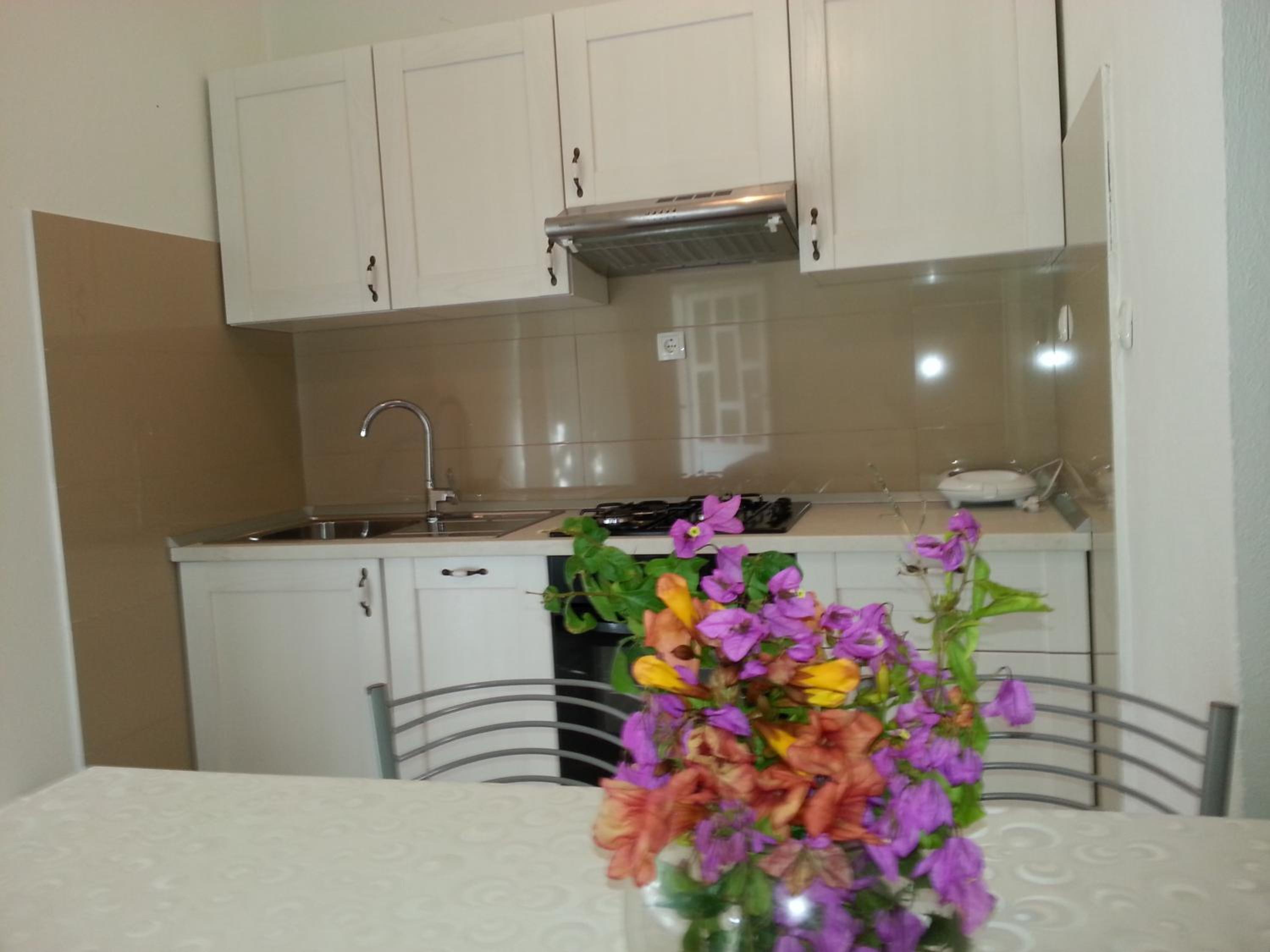 Apartments Rino