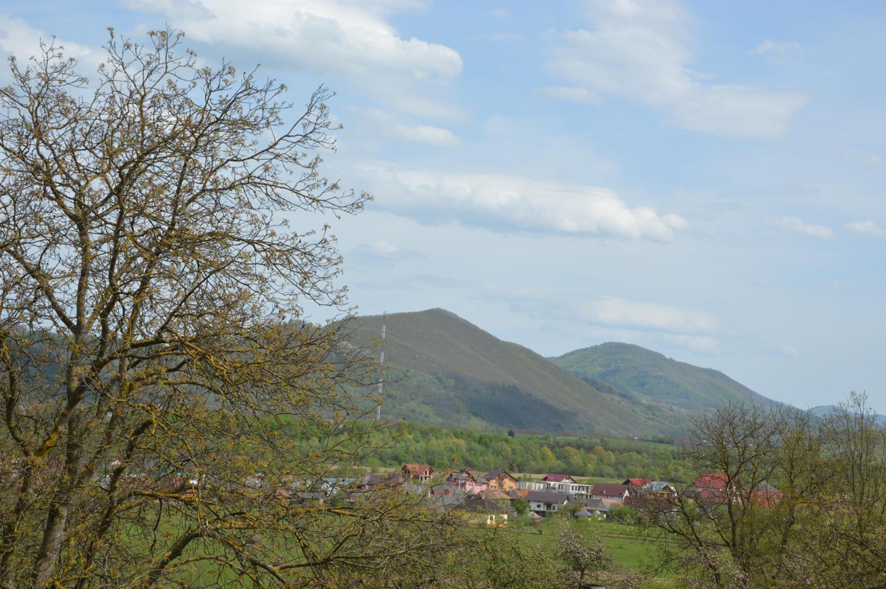 Pensiunea Agroturistica Raluca