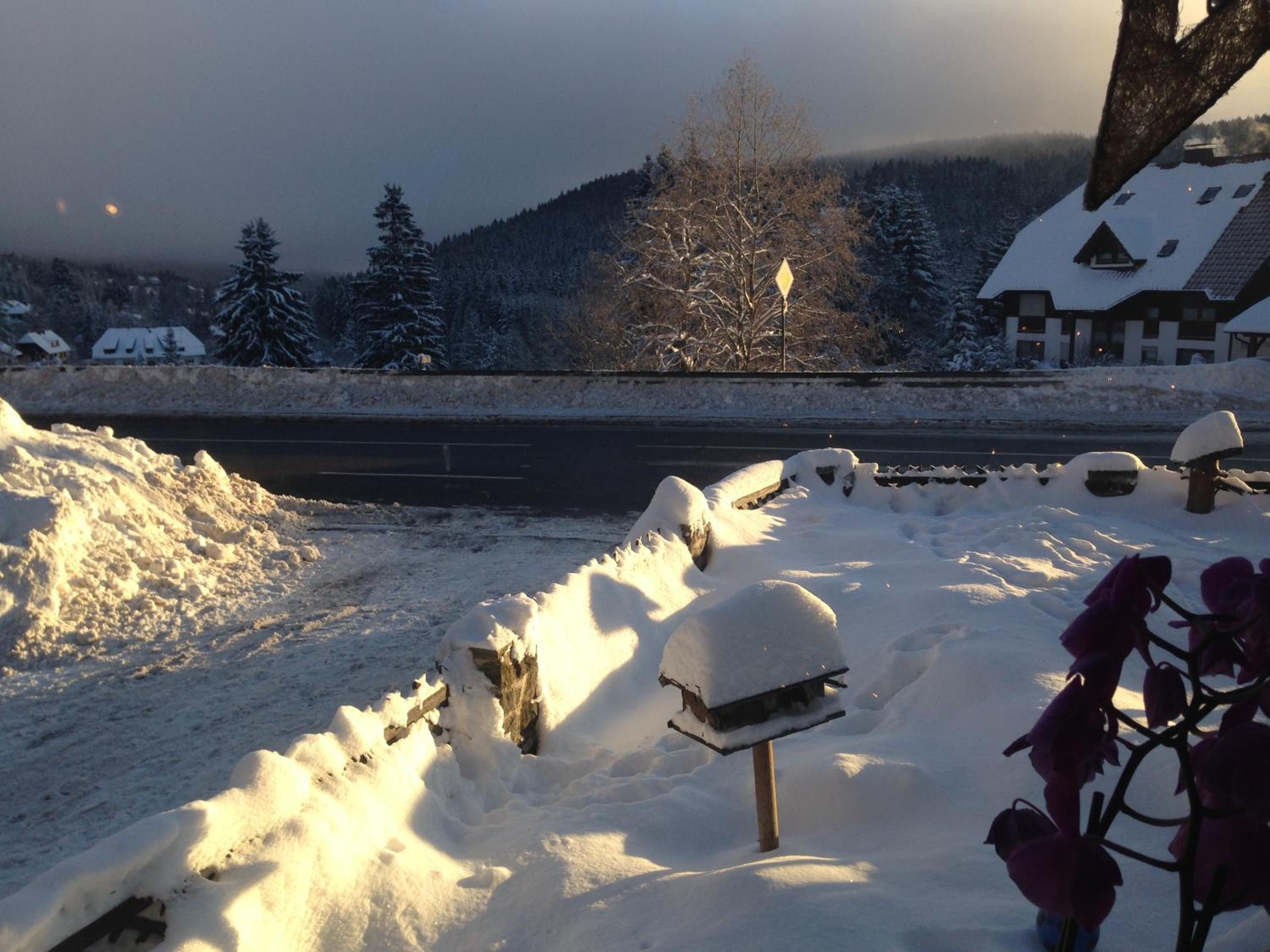 pop-up stuub feldberg