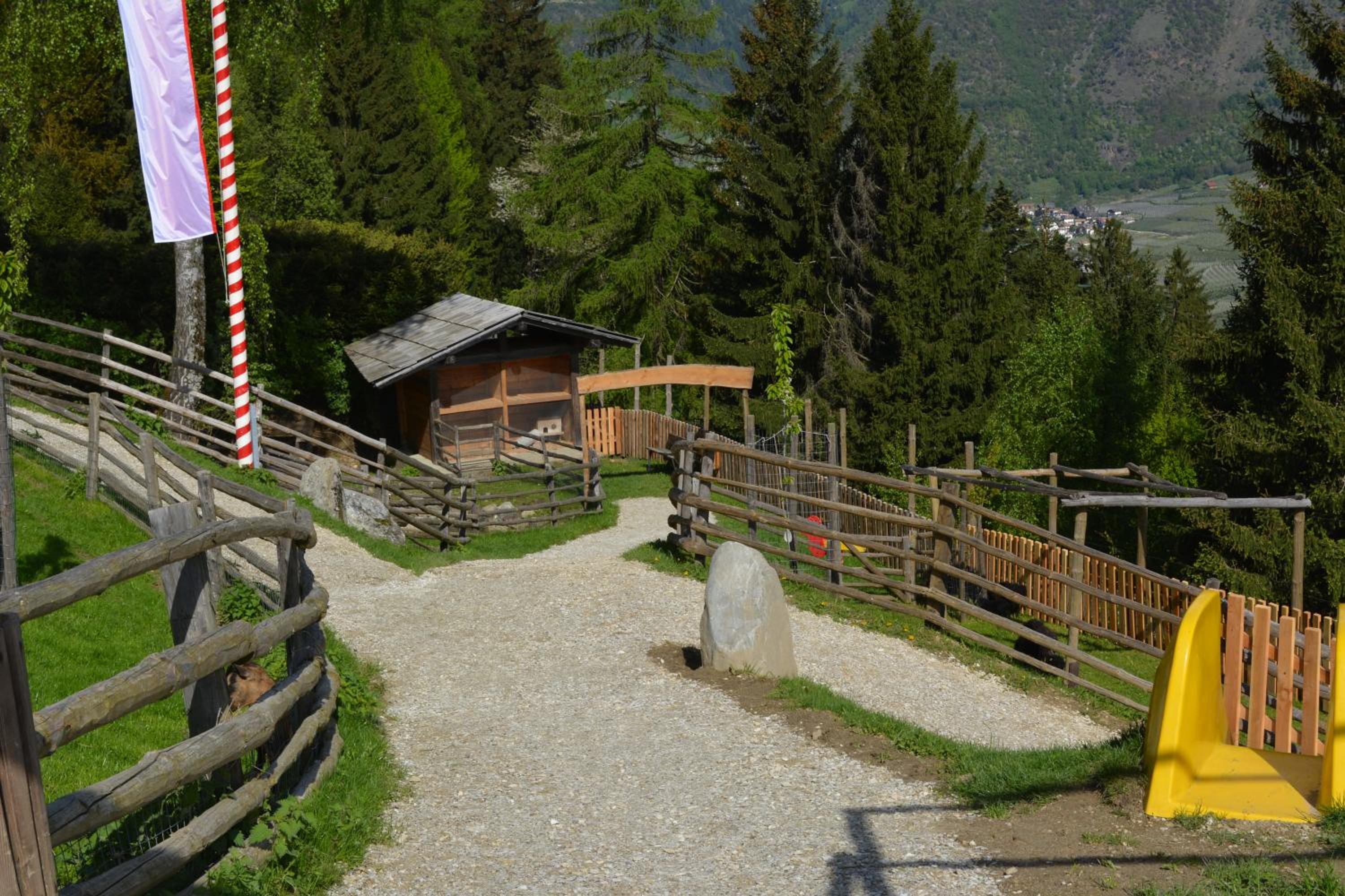 Photo 16