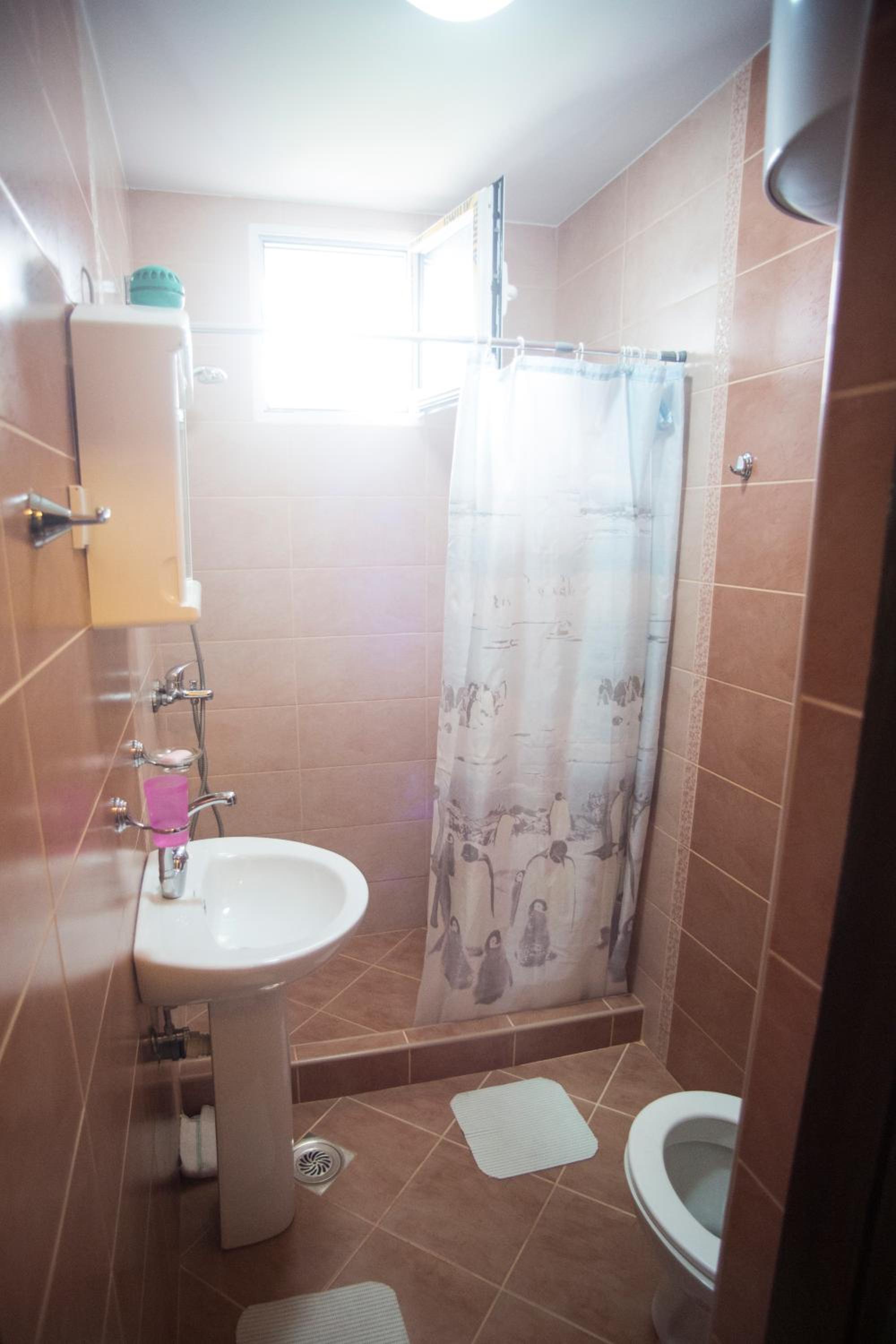 Apartments Cejovic, photo 11