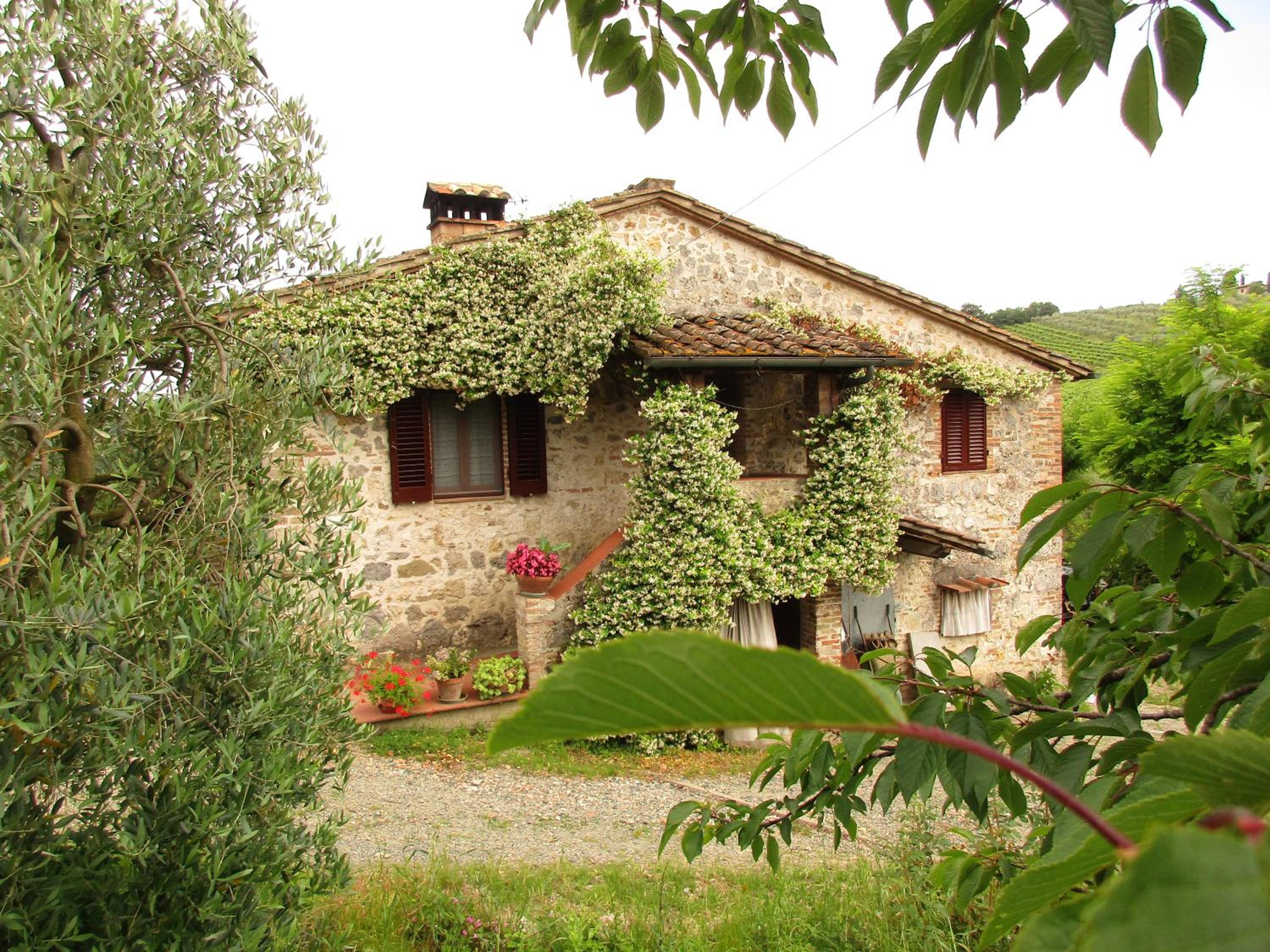 Agriturismo Podere Cappella view 3
