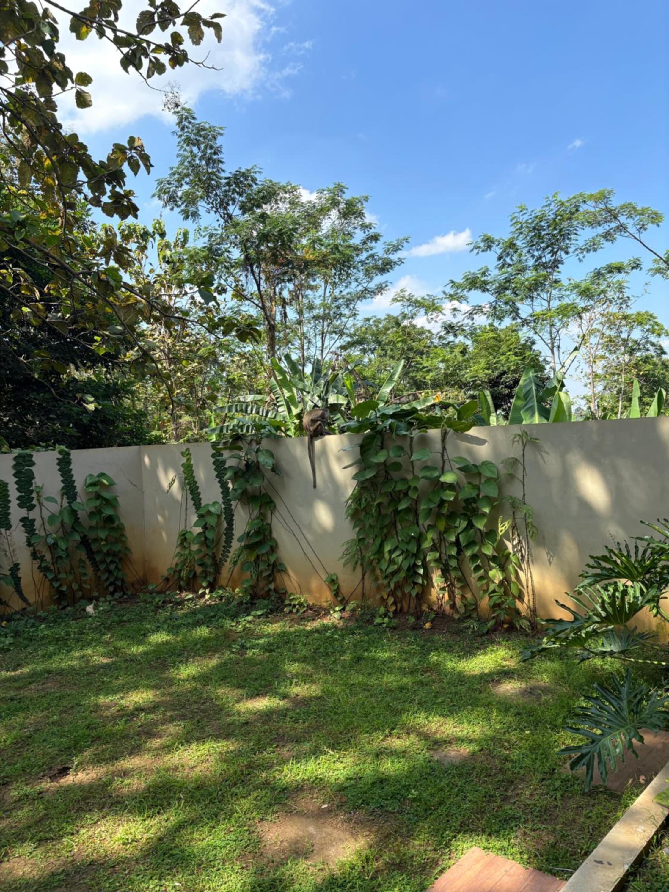 Kreo Guest House