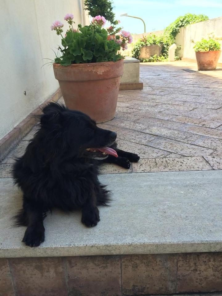 Le Terrazze di Cristina