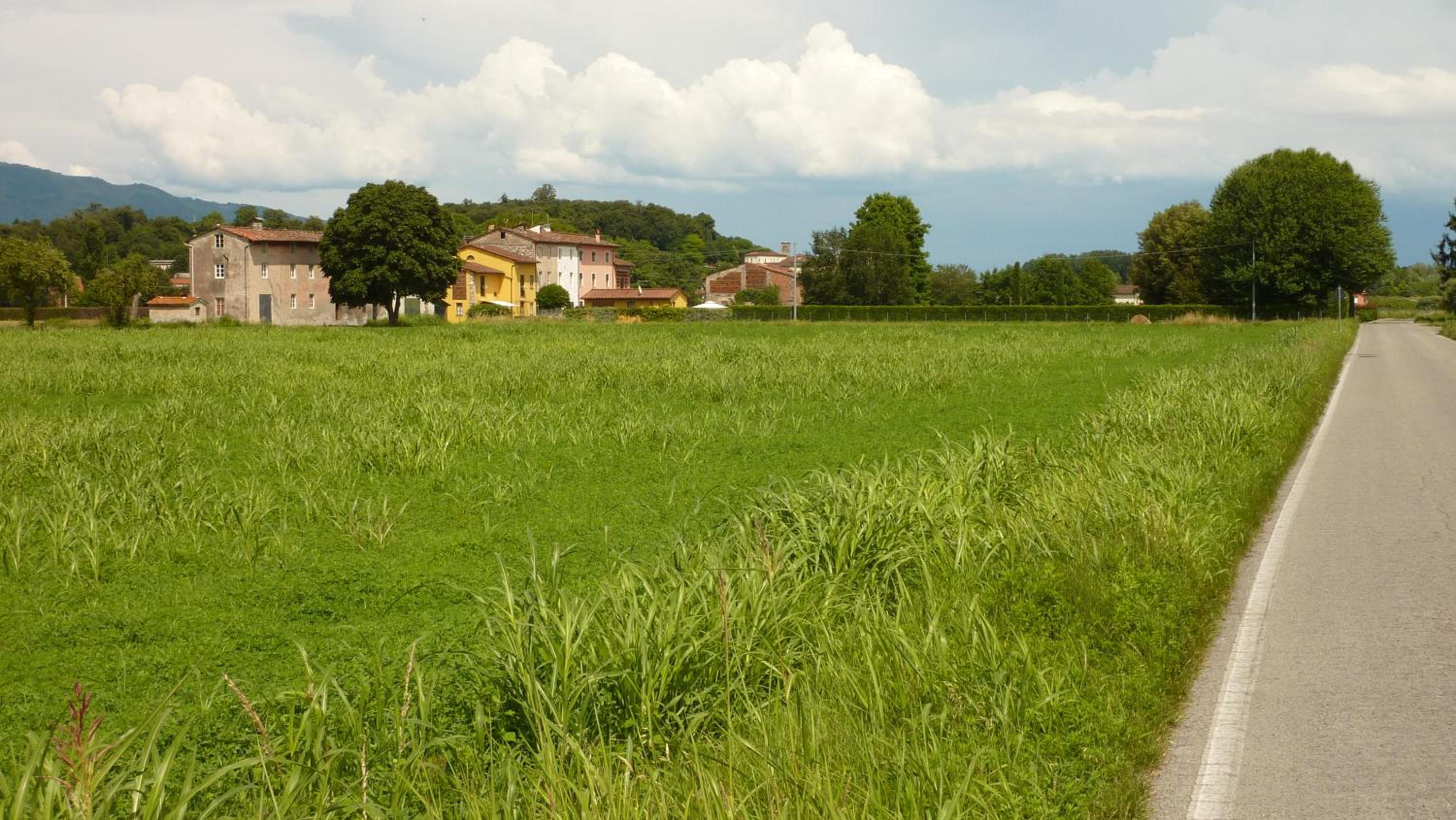 Il Nido view 4