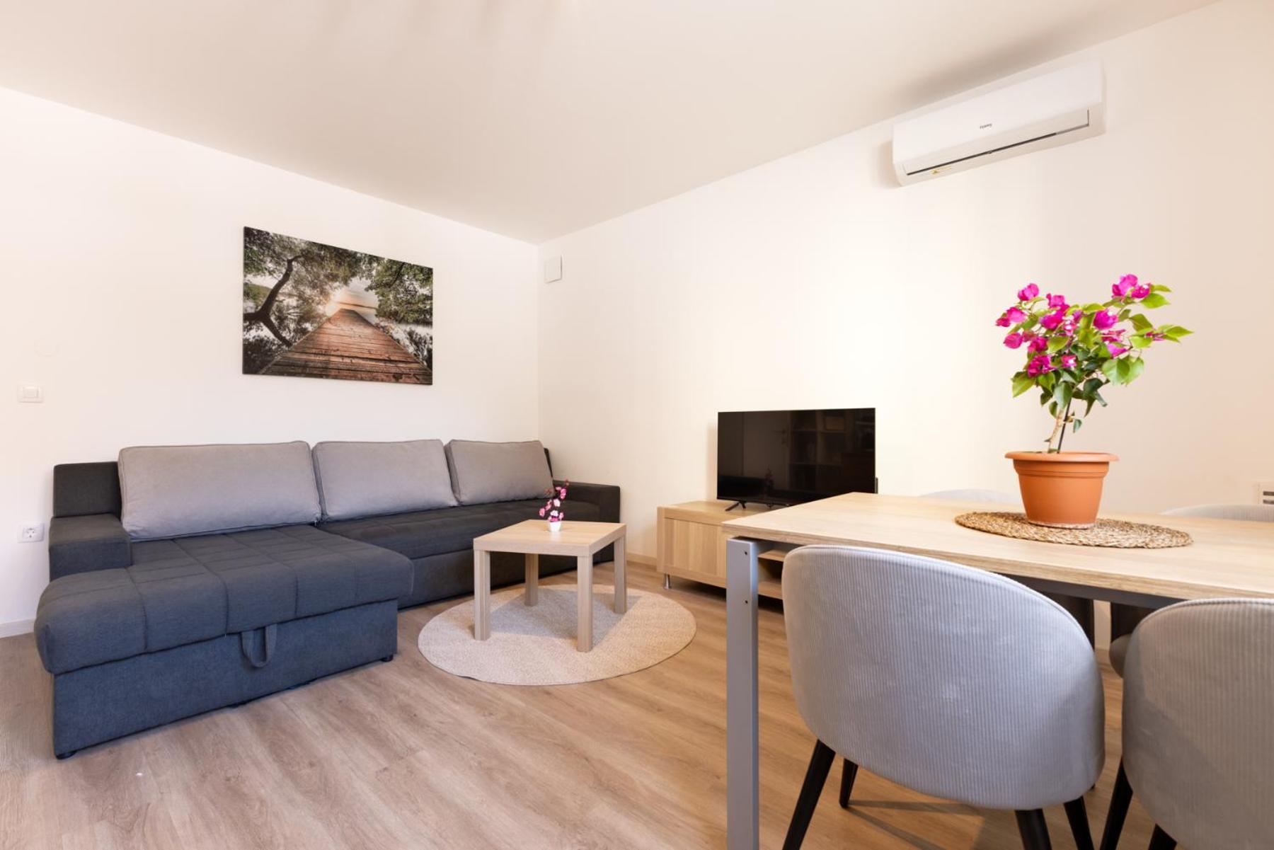 Apartma Seničica