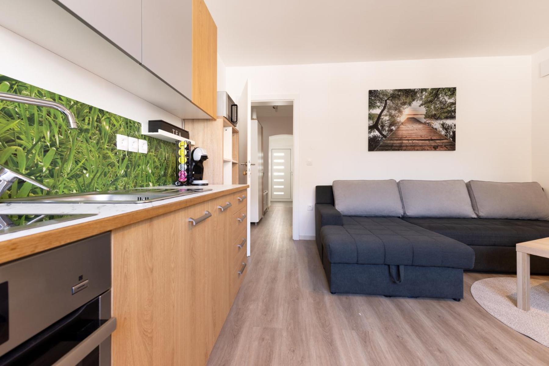 Apartma Seničica