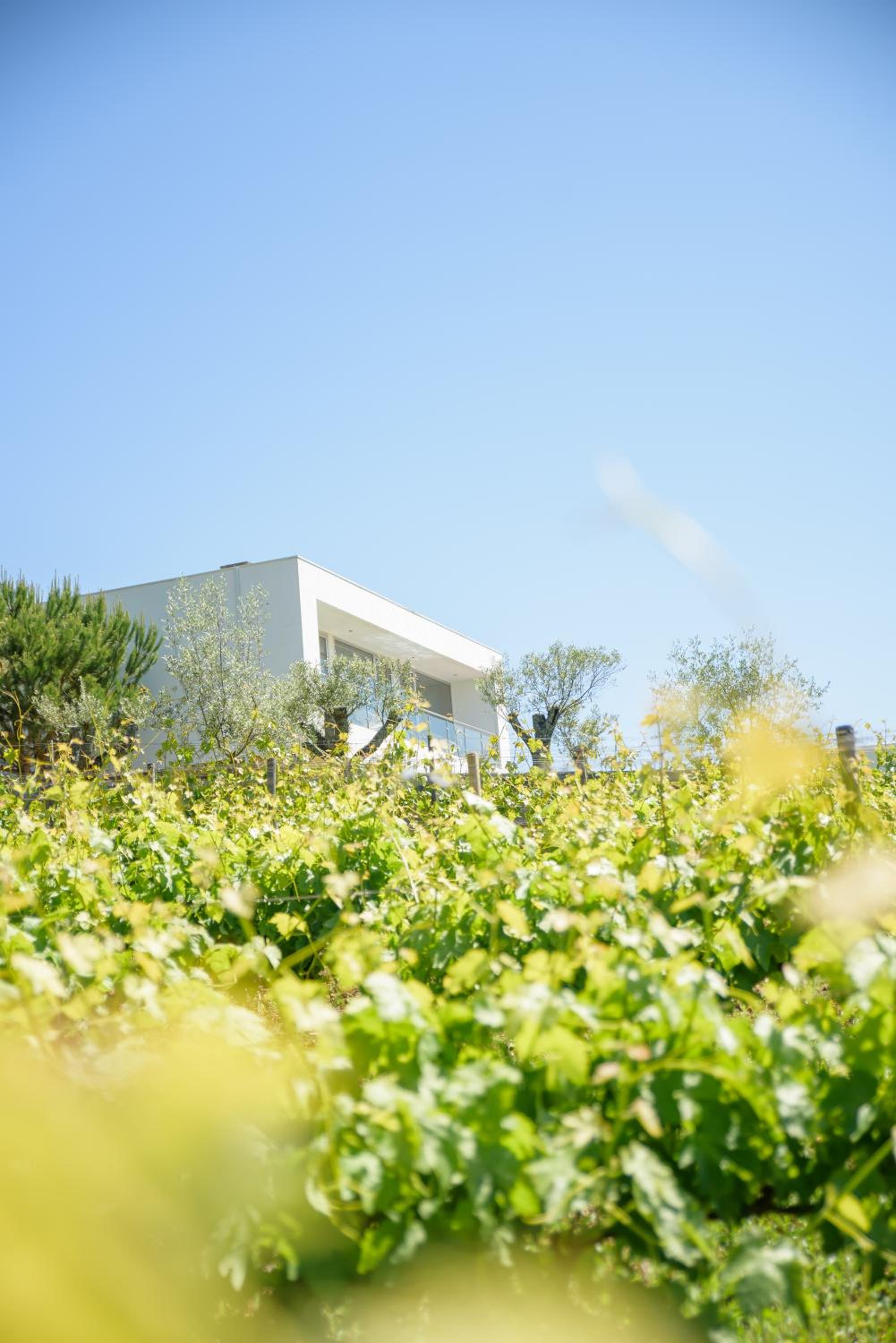 Quinta Do Bosque