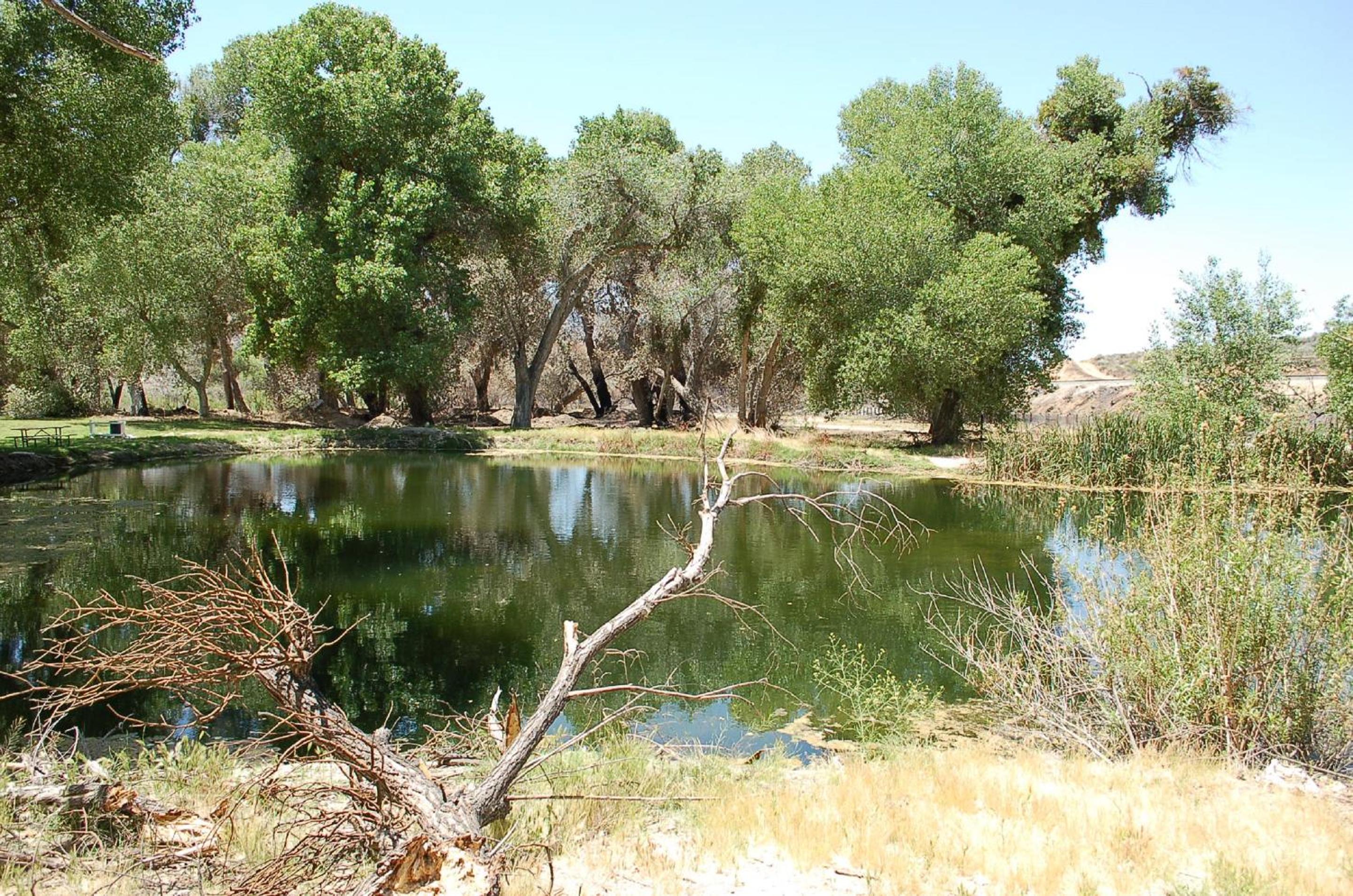 Photo 21