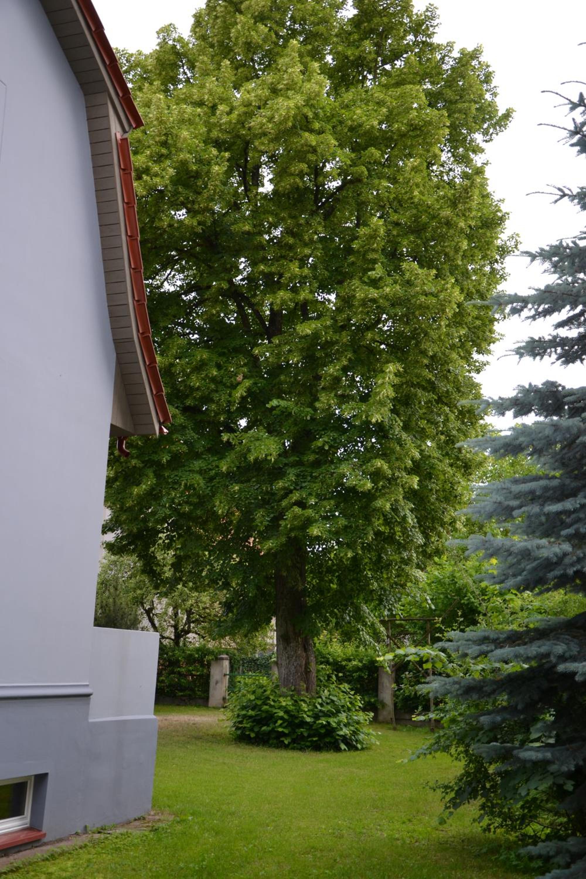 Photo 53