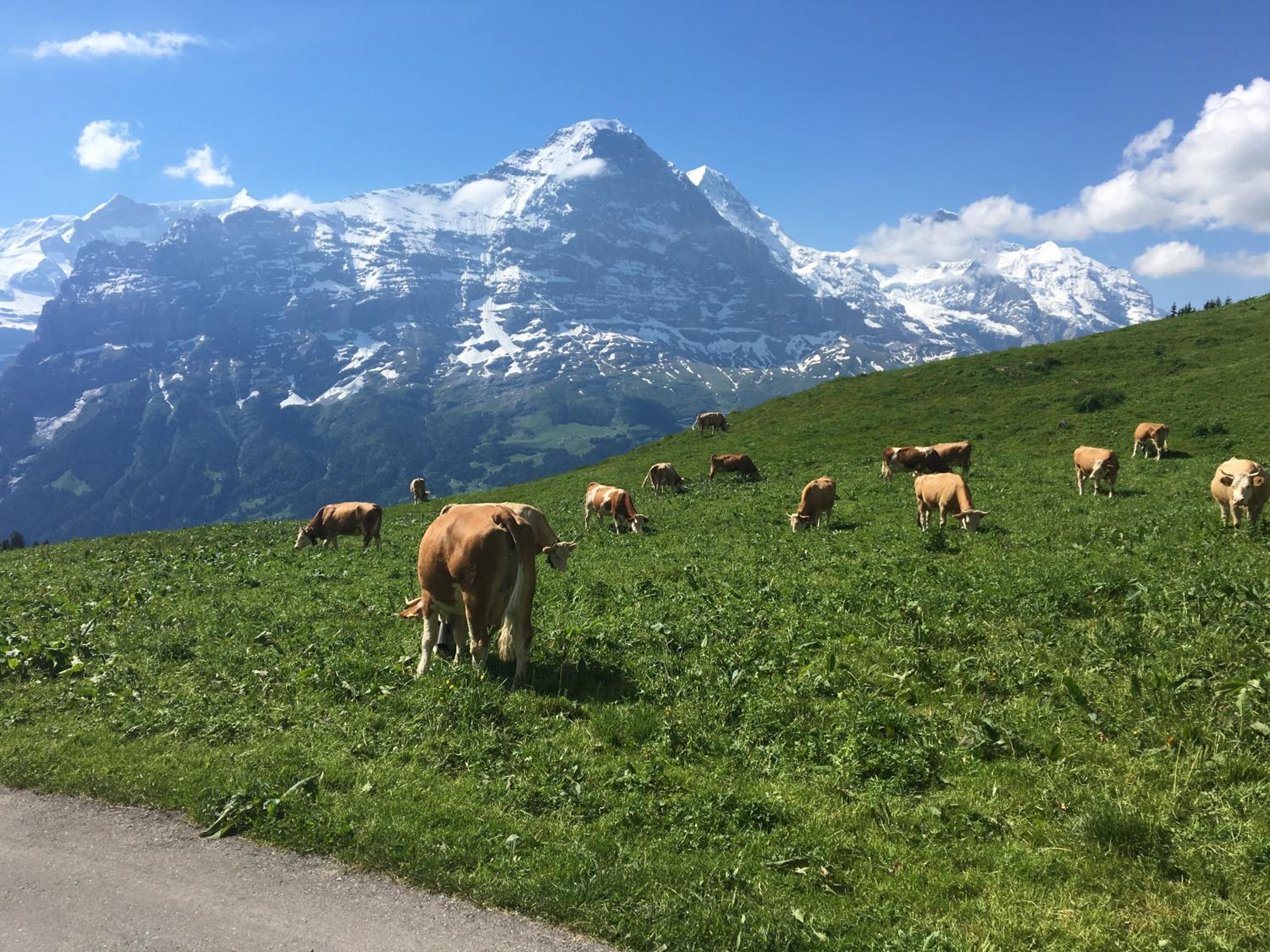 Locherboden