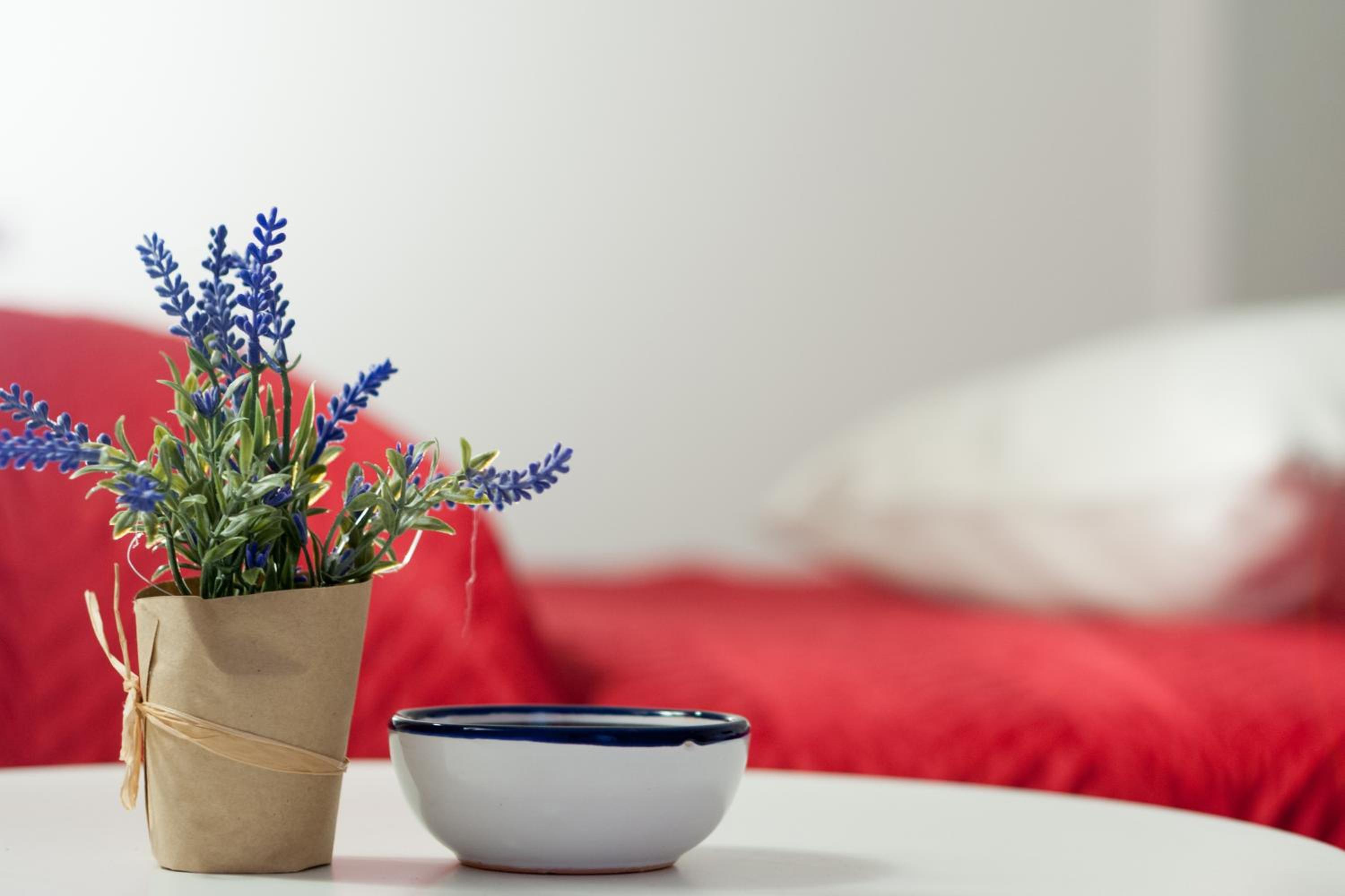 B&B Ponticello
