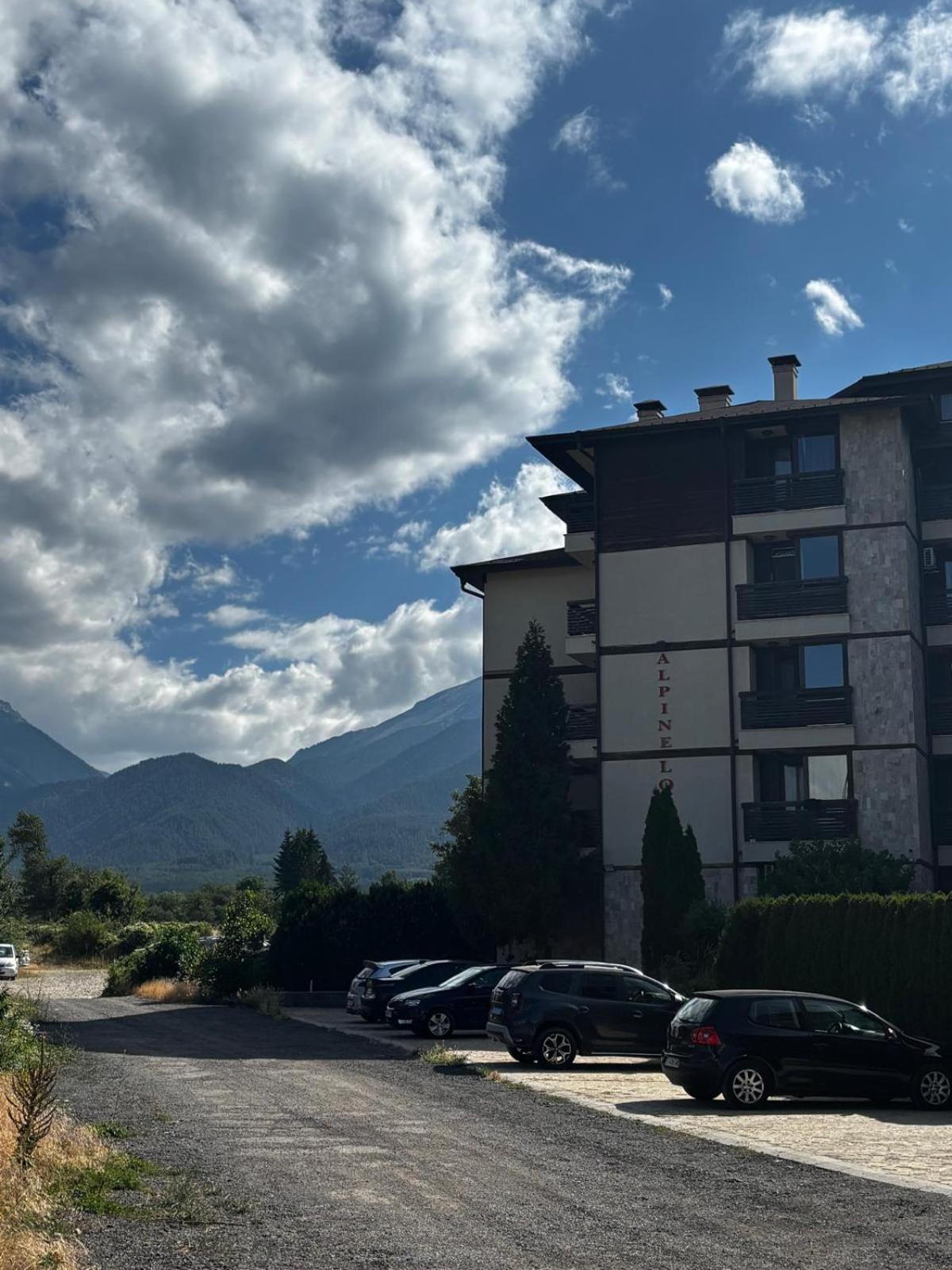 Alpine Lodge Chalet in Bansko