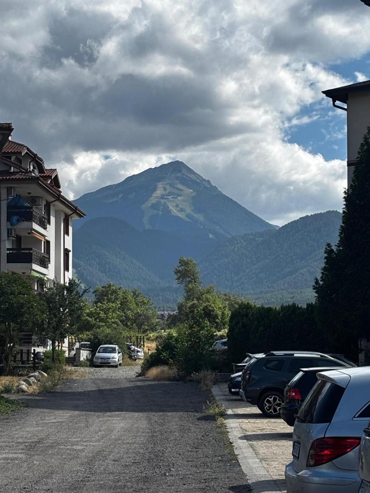 Alpine Lodge Chalet in Bansko