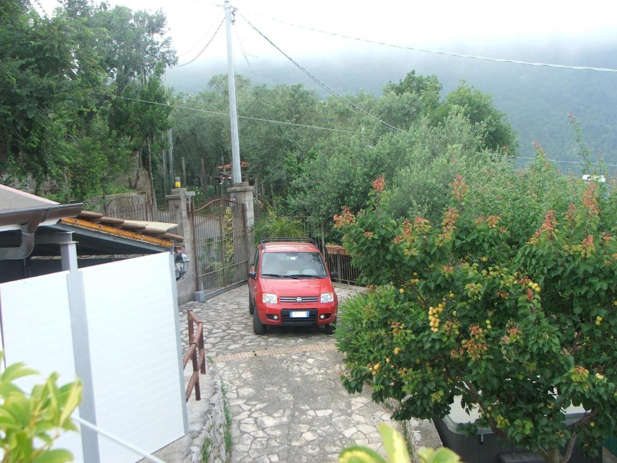 Photo 23