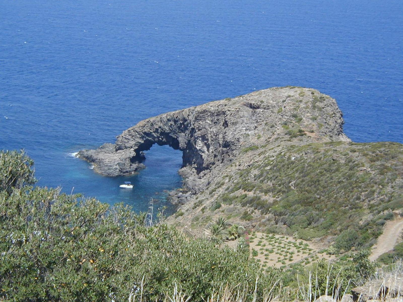 Photo 45