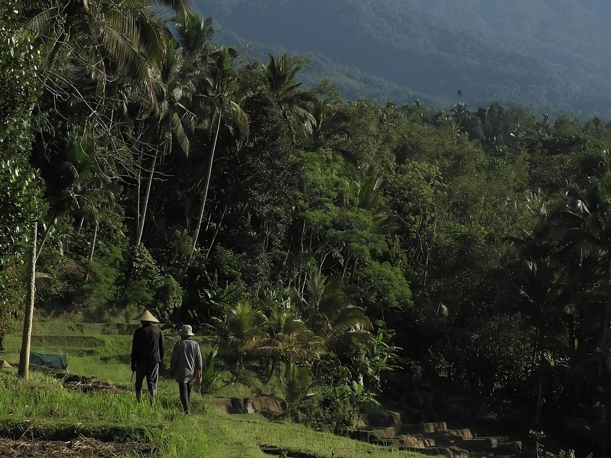 Rumah Pacung