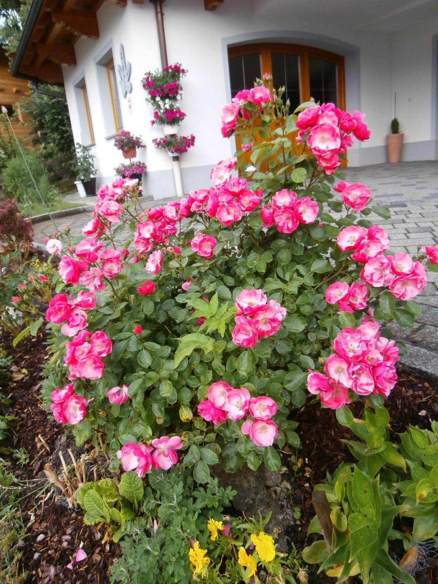 Haus Kristall