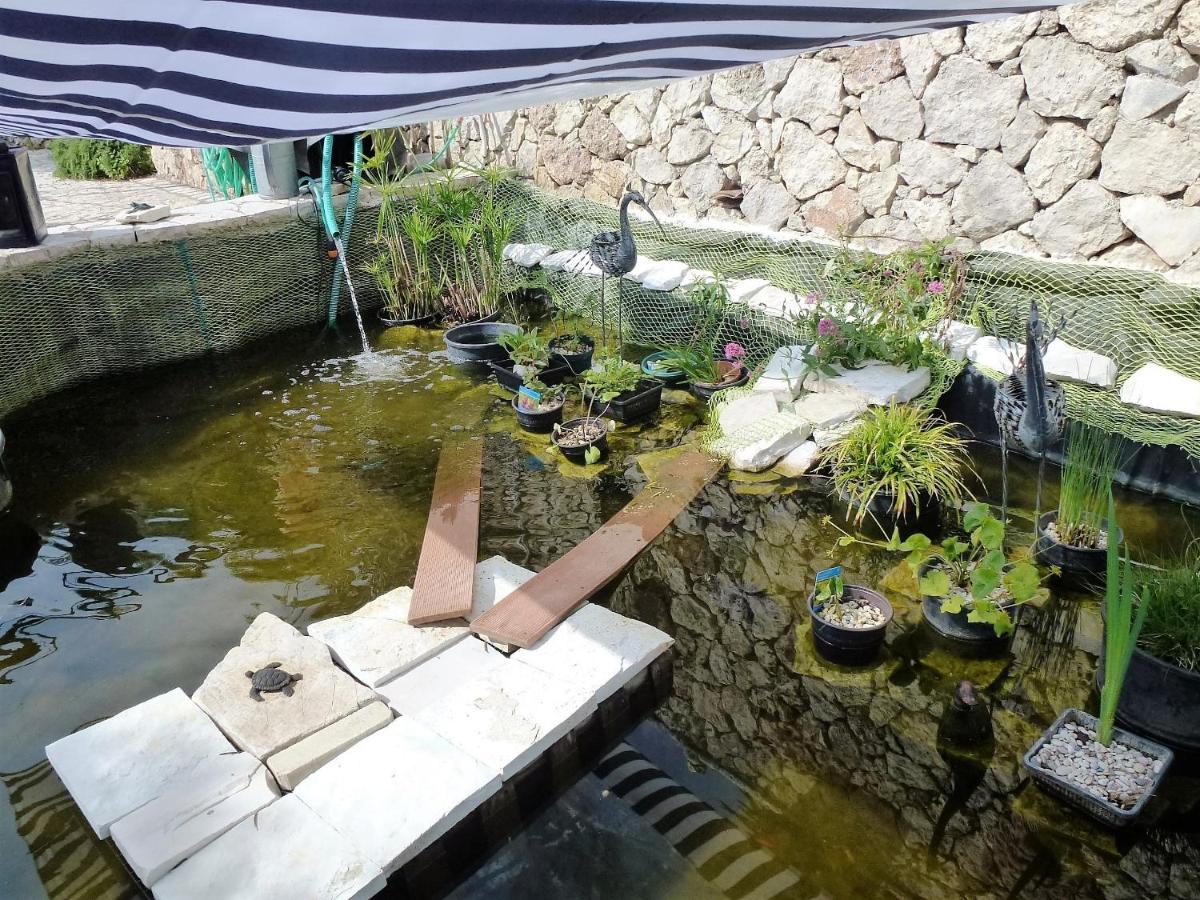 Photo 33
