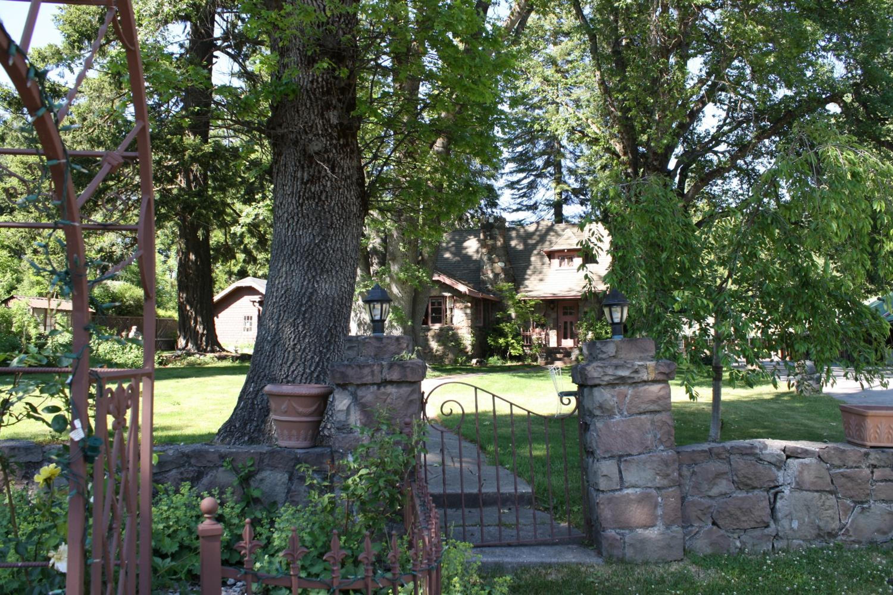 Photo 14
