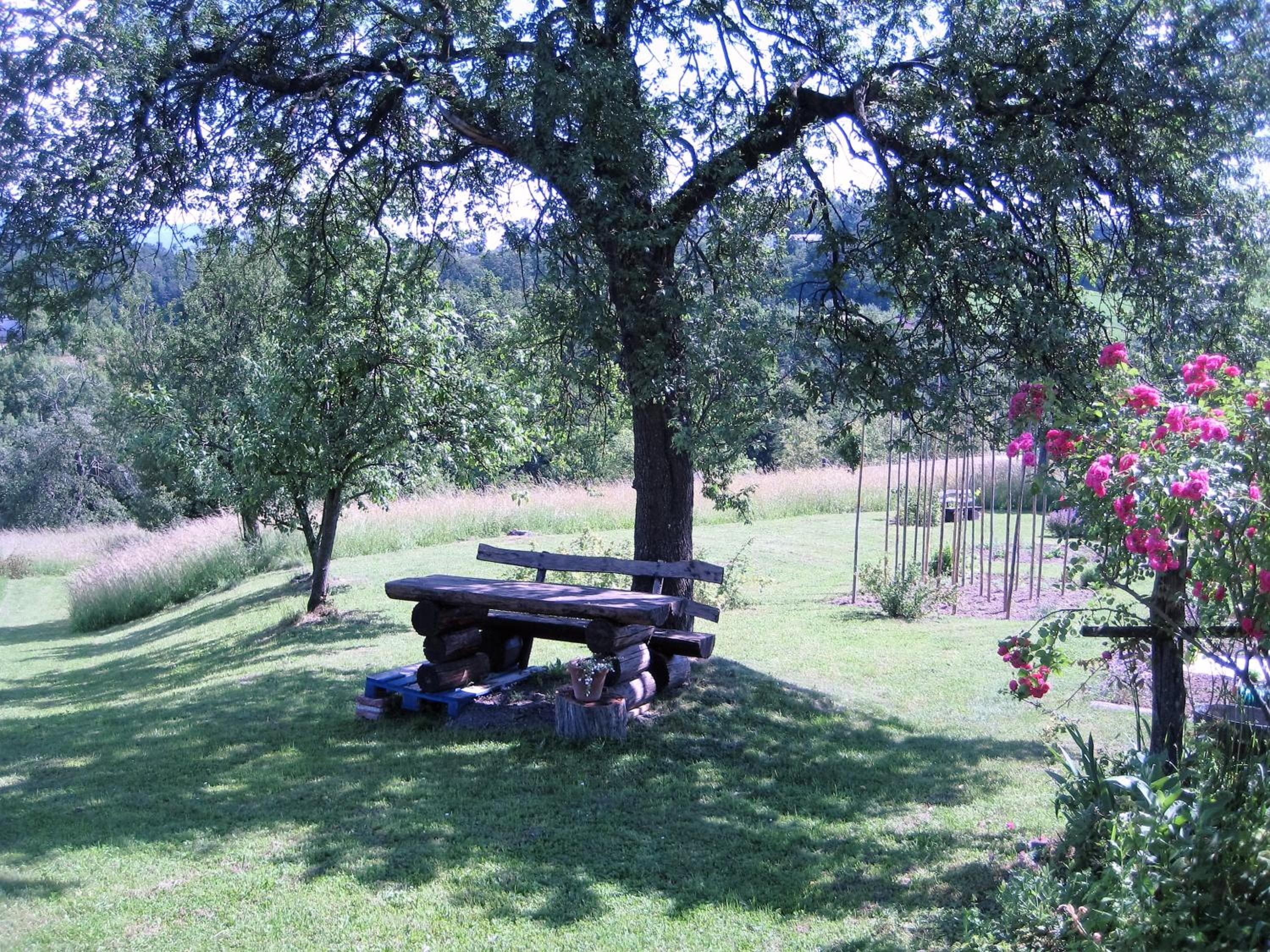 Photo 47