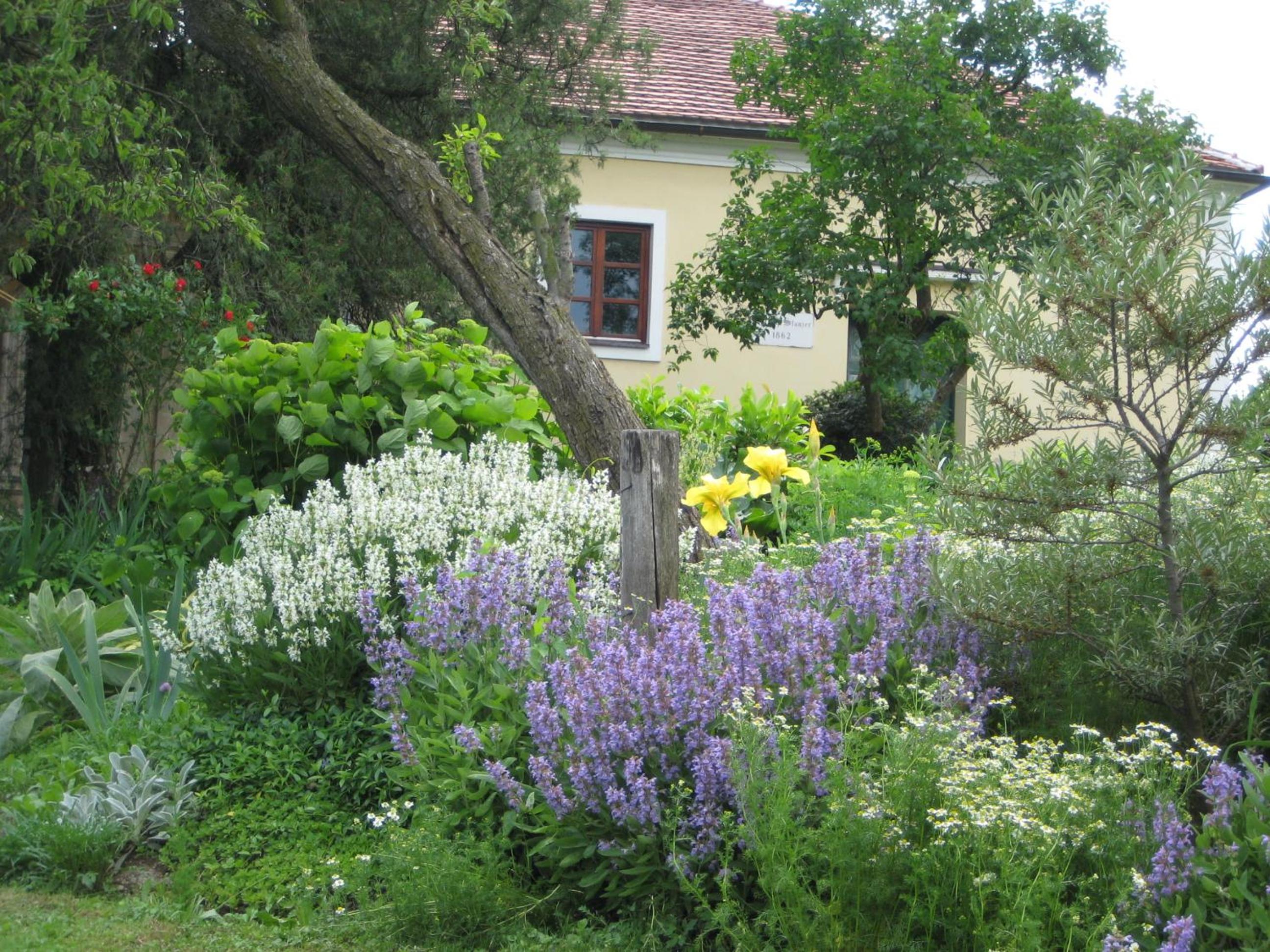 Photo 24
