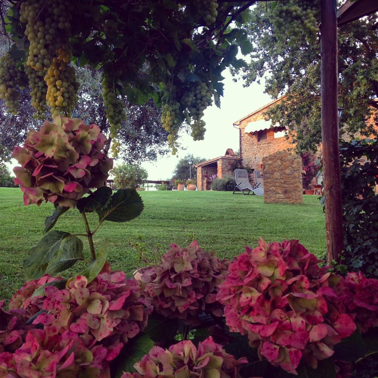 Photo 48