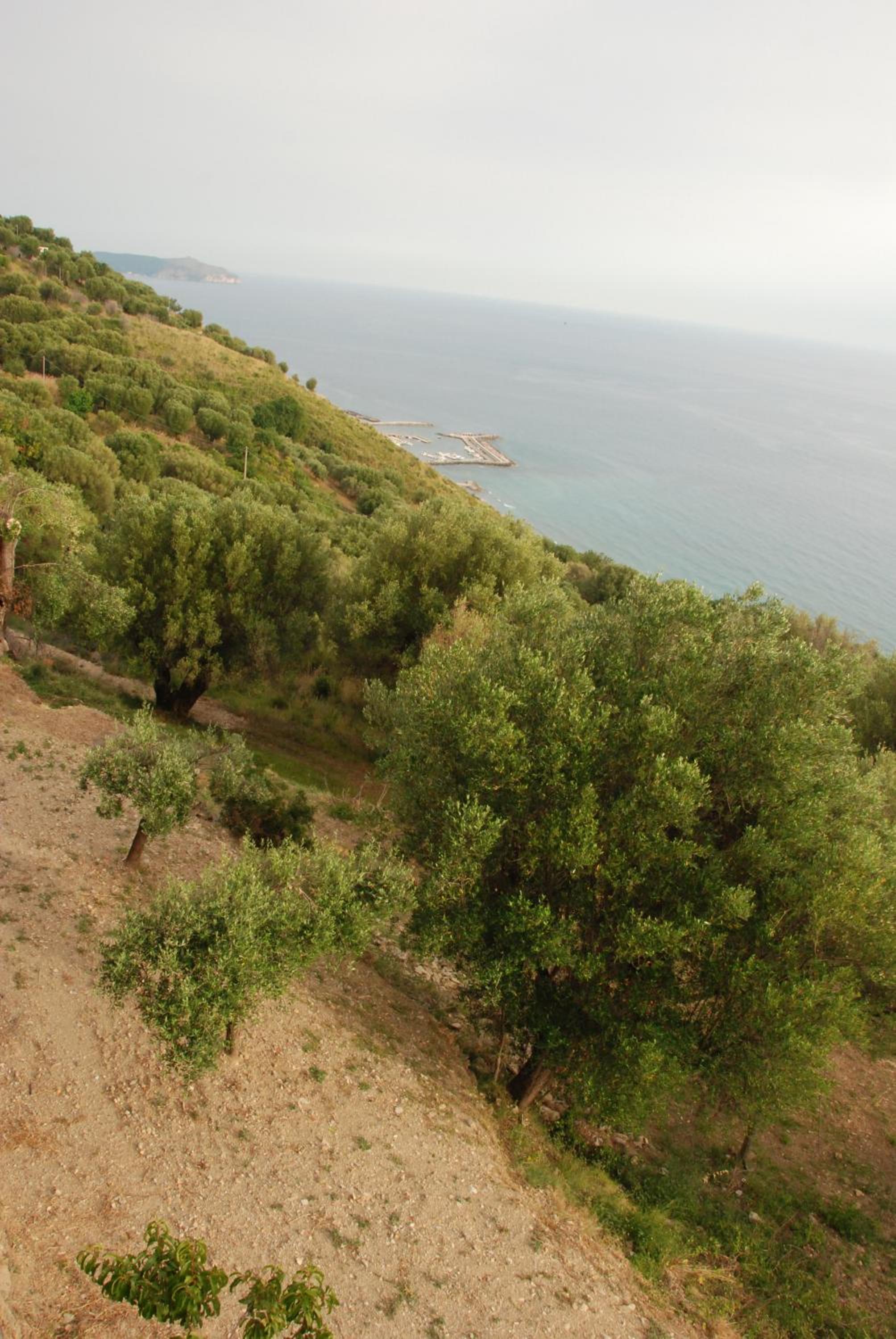 Santo Mercurio Country House