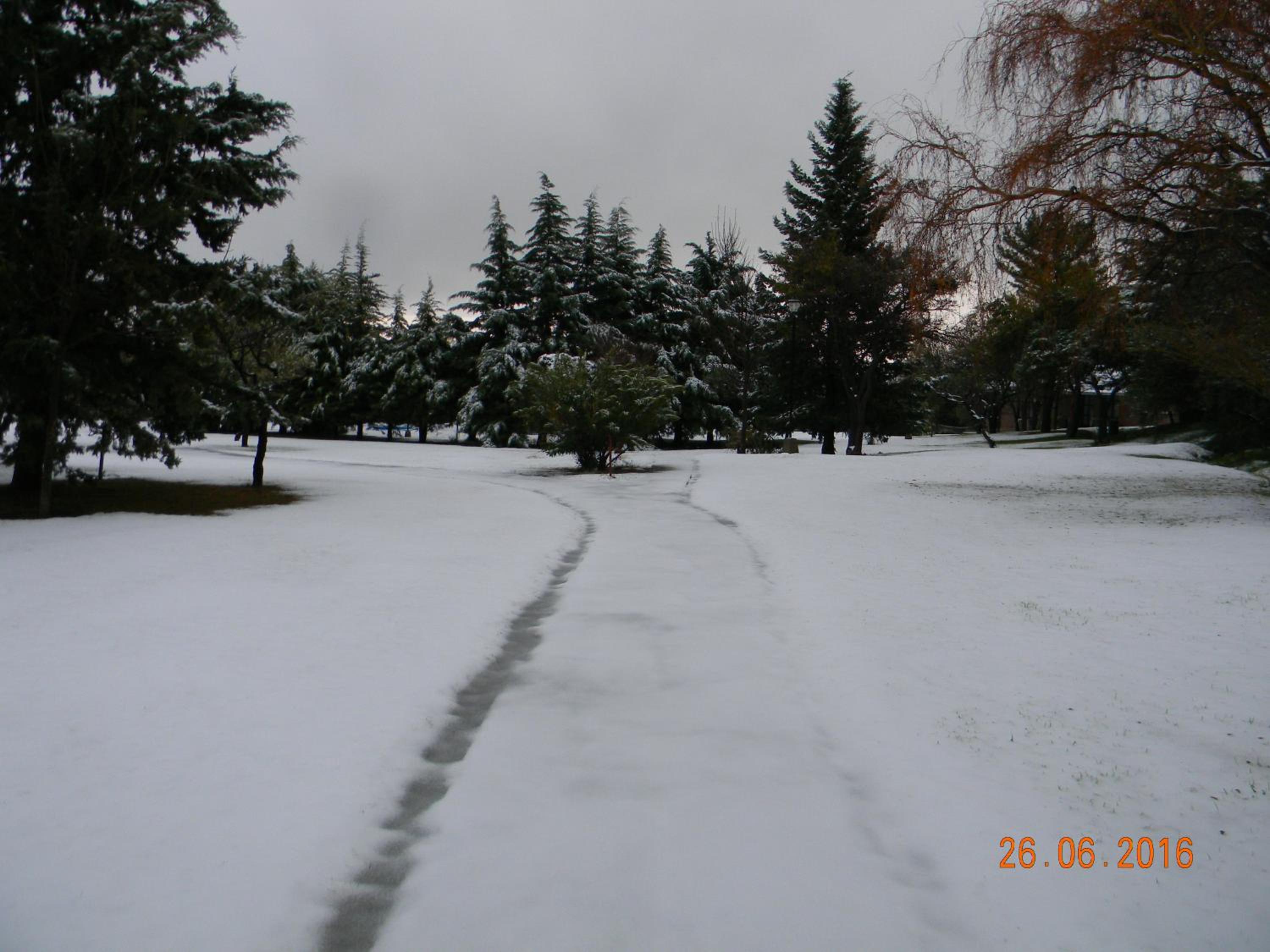 Campo Las Tinajas