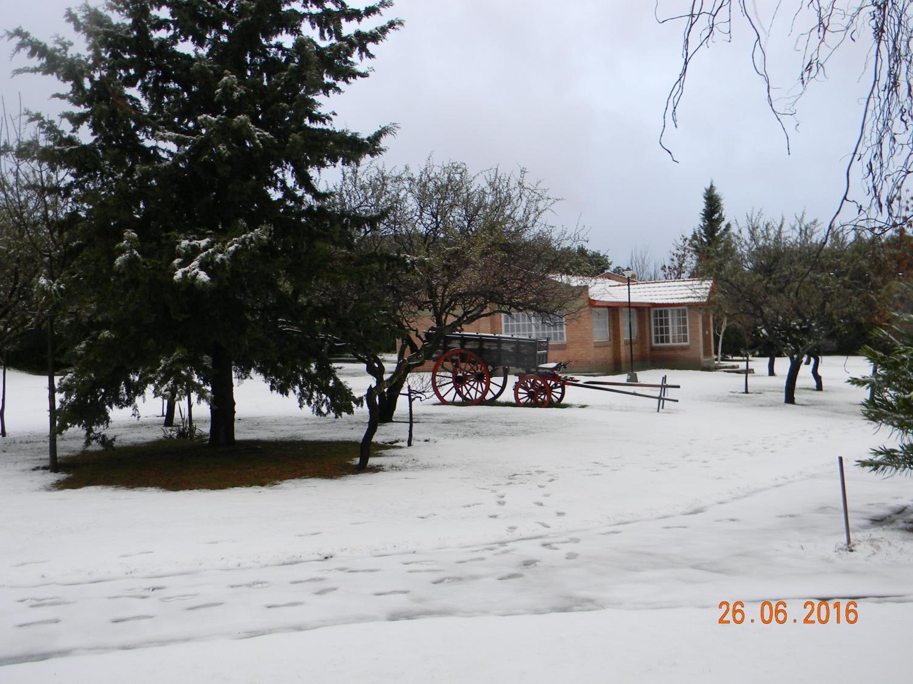 Campo Las Tinajas