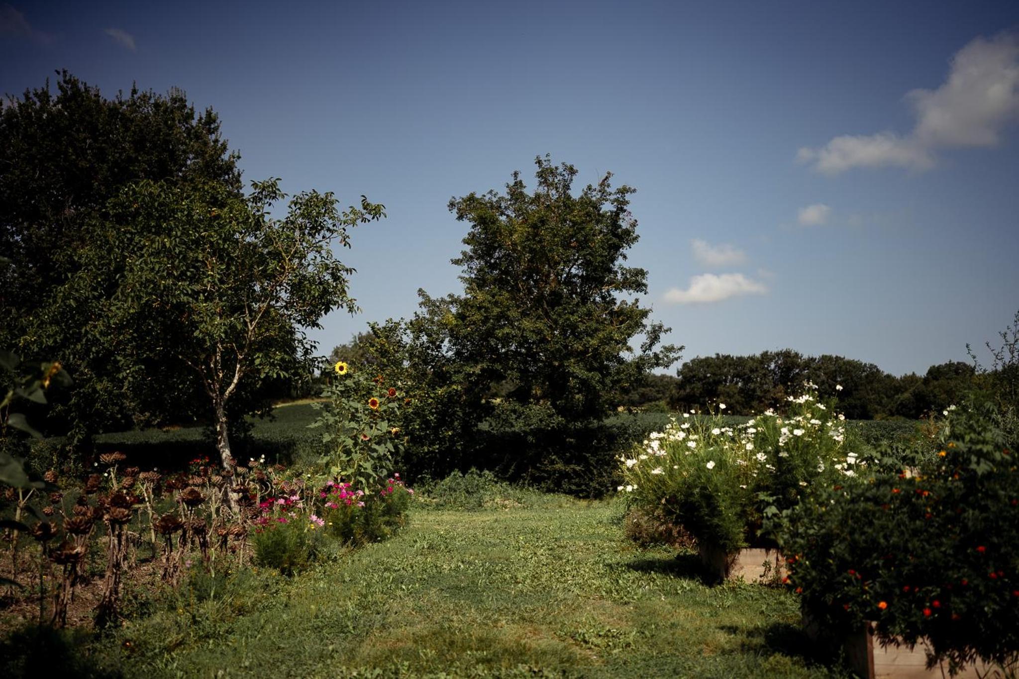 Photo 20