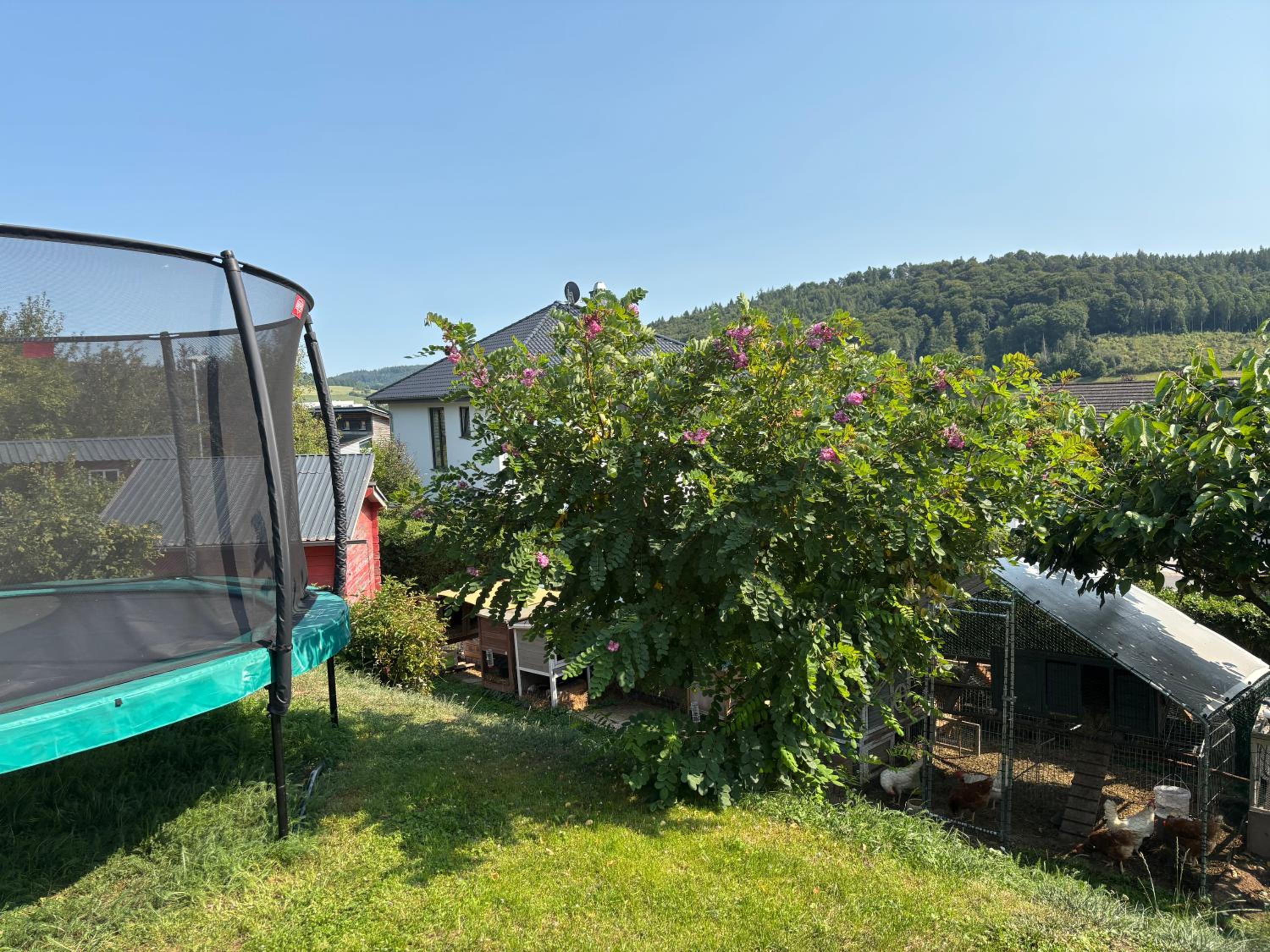 Gemütliche Ferienwohnung mit Sonnenterrasse