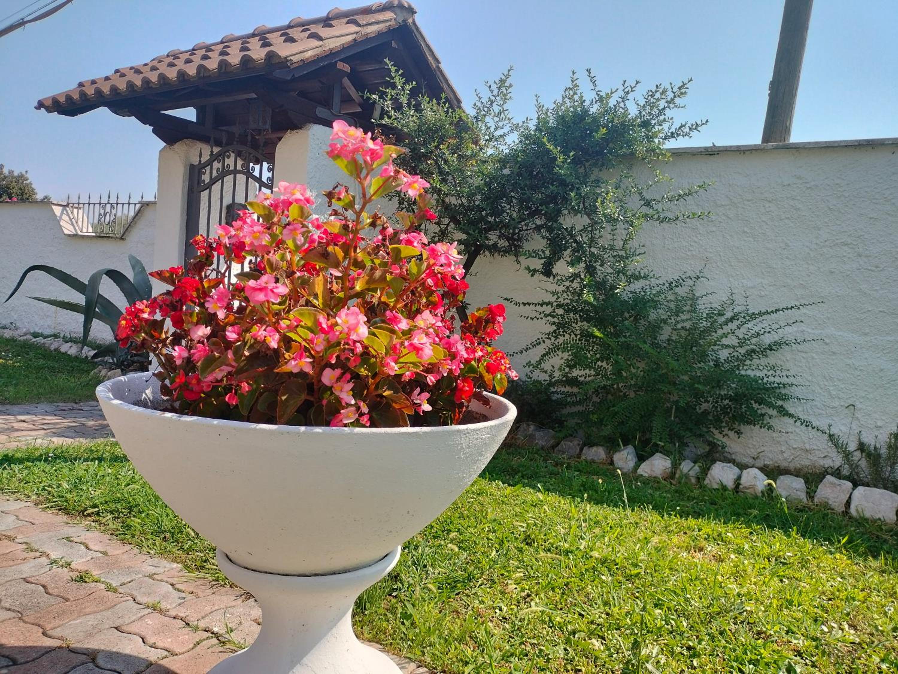 Villa Civetta tra Roma e i Castelli Romani