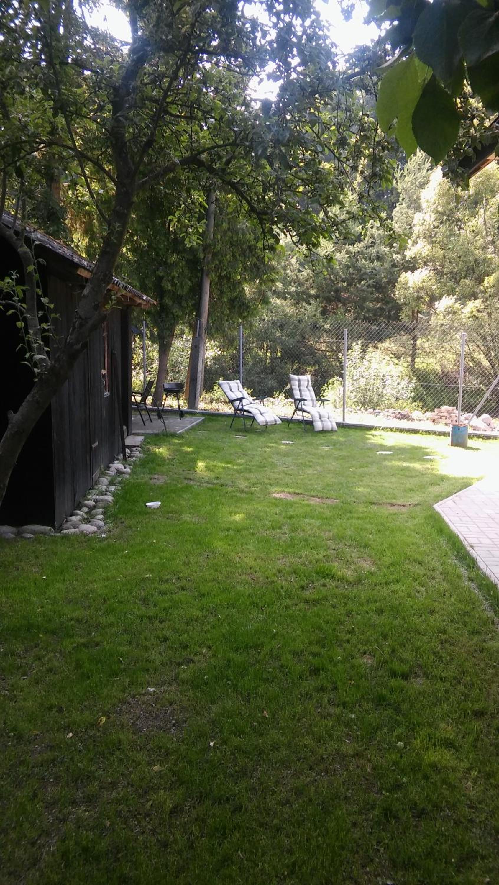Photo 42