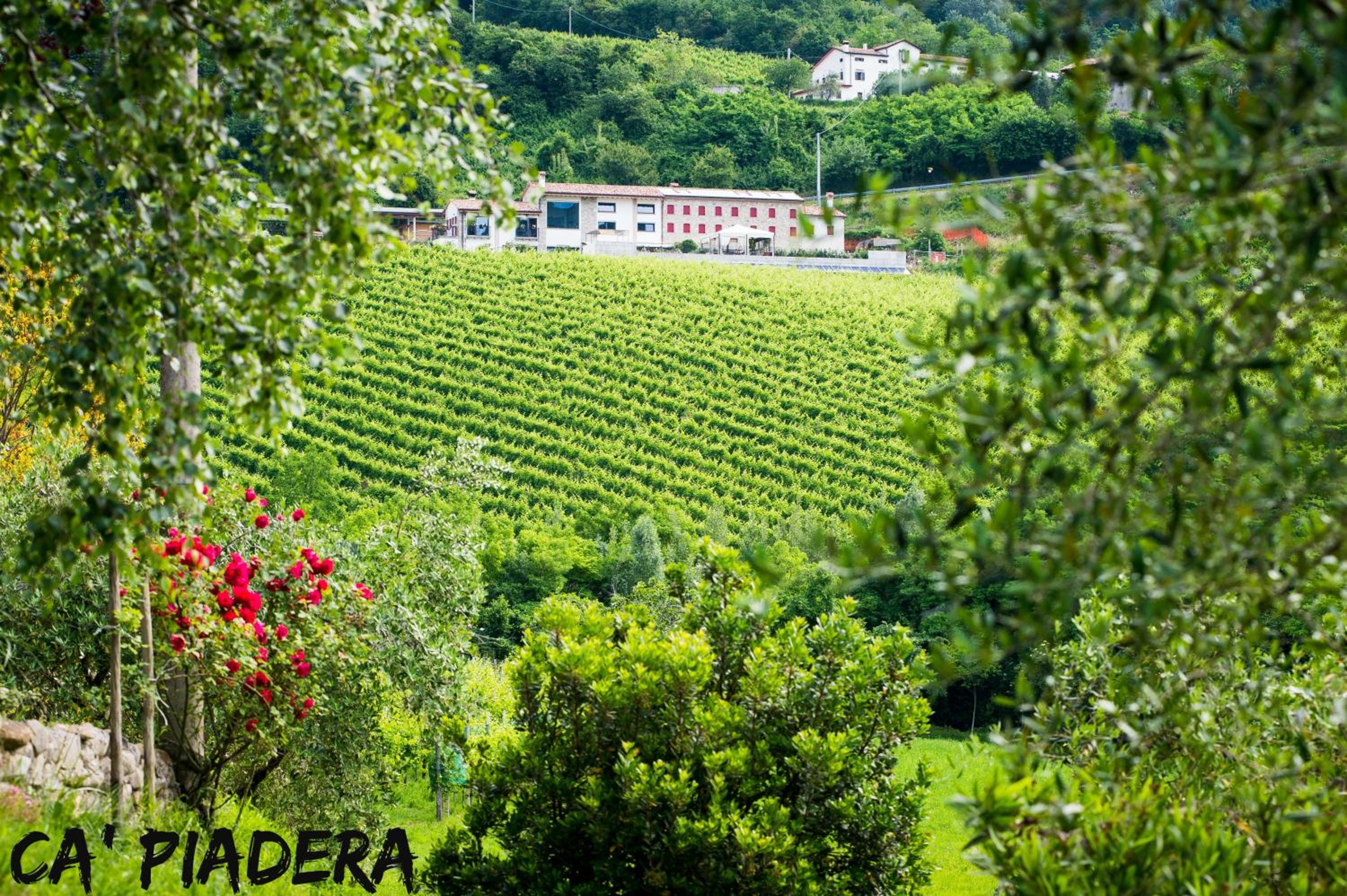 Ca' Piadera Wine Relais