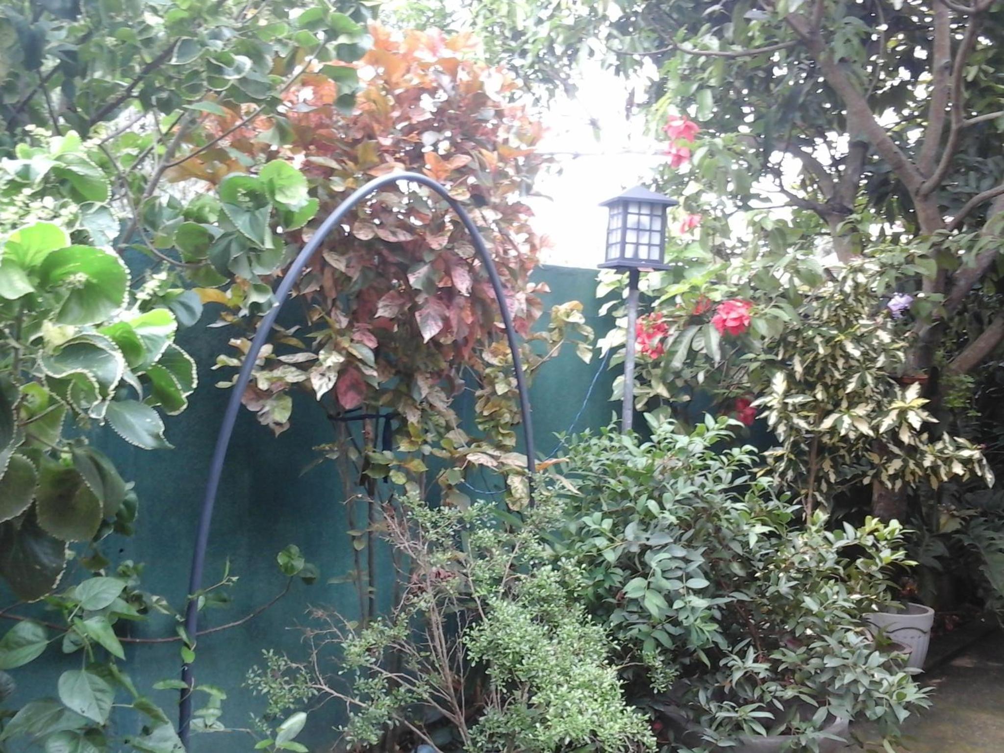 House Of Esanya