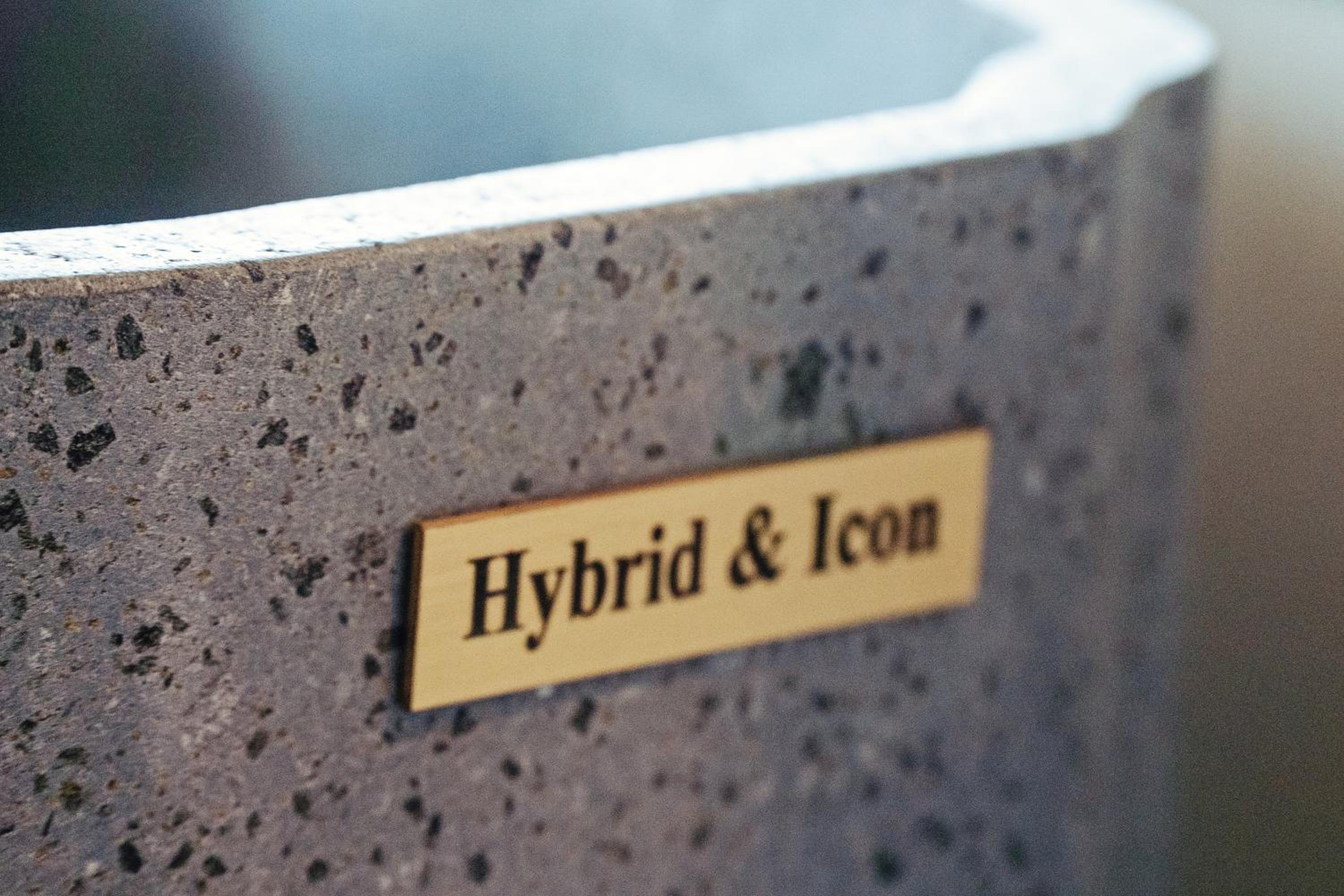 Hybrid Icon Rooms Gallery